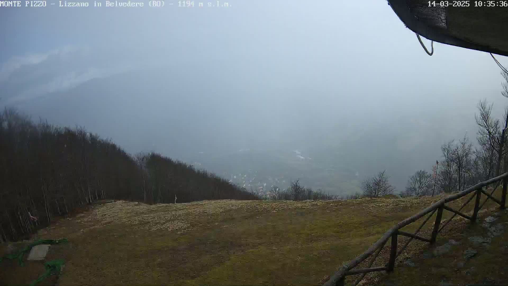 A hazy, overcast view from a high vantage point reveals a valley with a small town nestled among bare, winter trees, and a grassy area in the foreground bordered by a wooden fence.