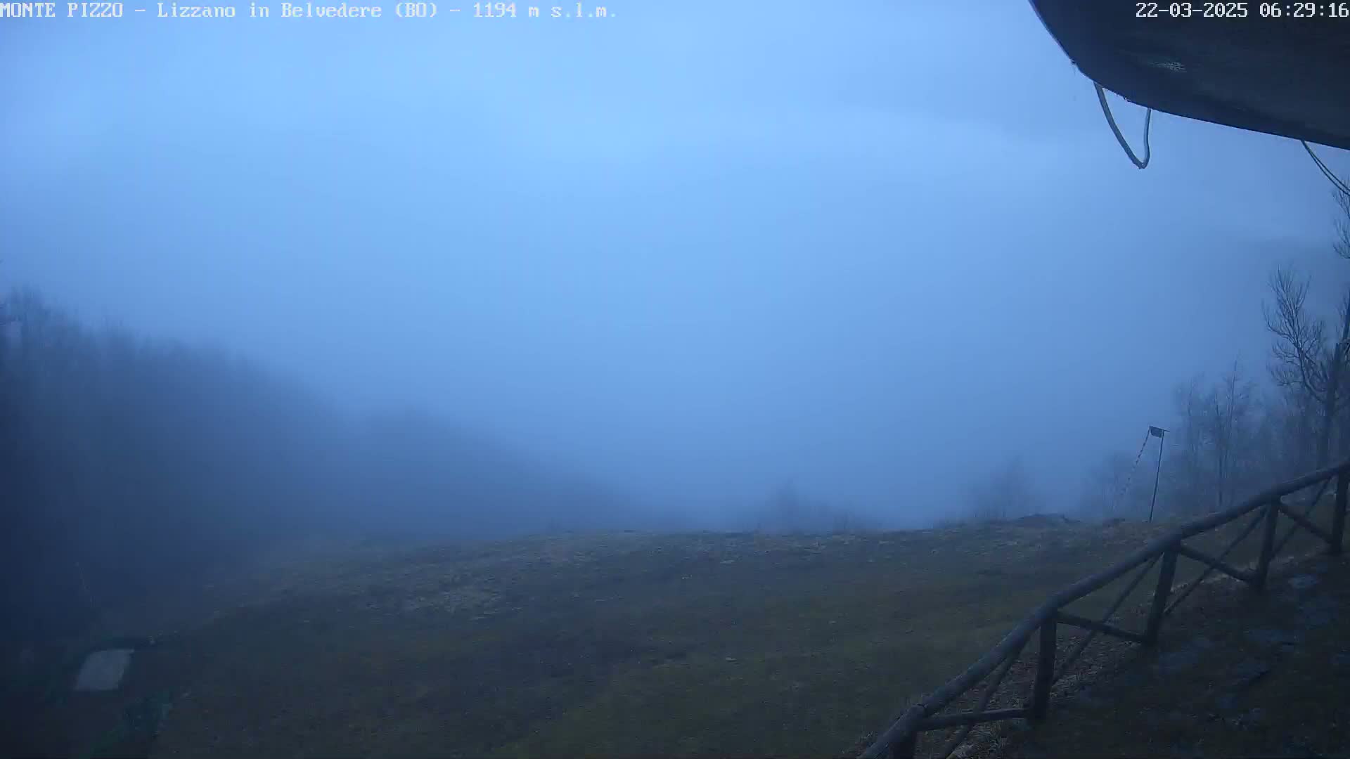 A foggy, bluish landscape is visible, featuring a barren, grassy field with a wooden fence in the foreground and a line of trees shrouded in mist in the background.