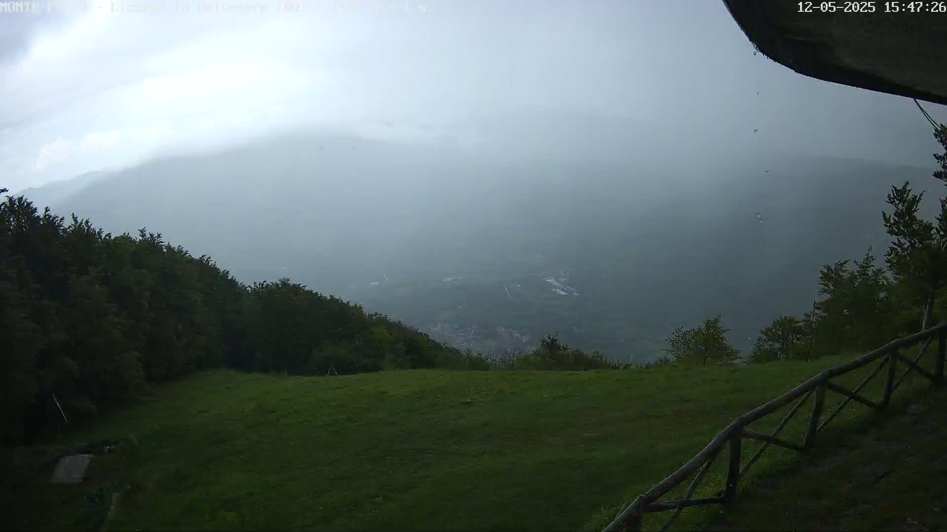 A hazy, overcast view from a grassy hilltop shows a distant valley shrouded in mist, with dark green trees lining the foreground and a wooden fence at the bottom right.