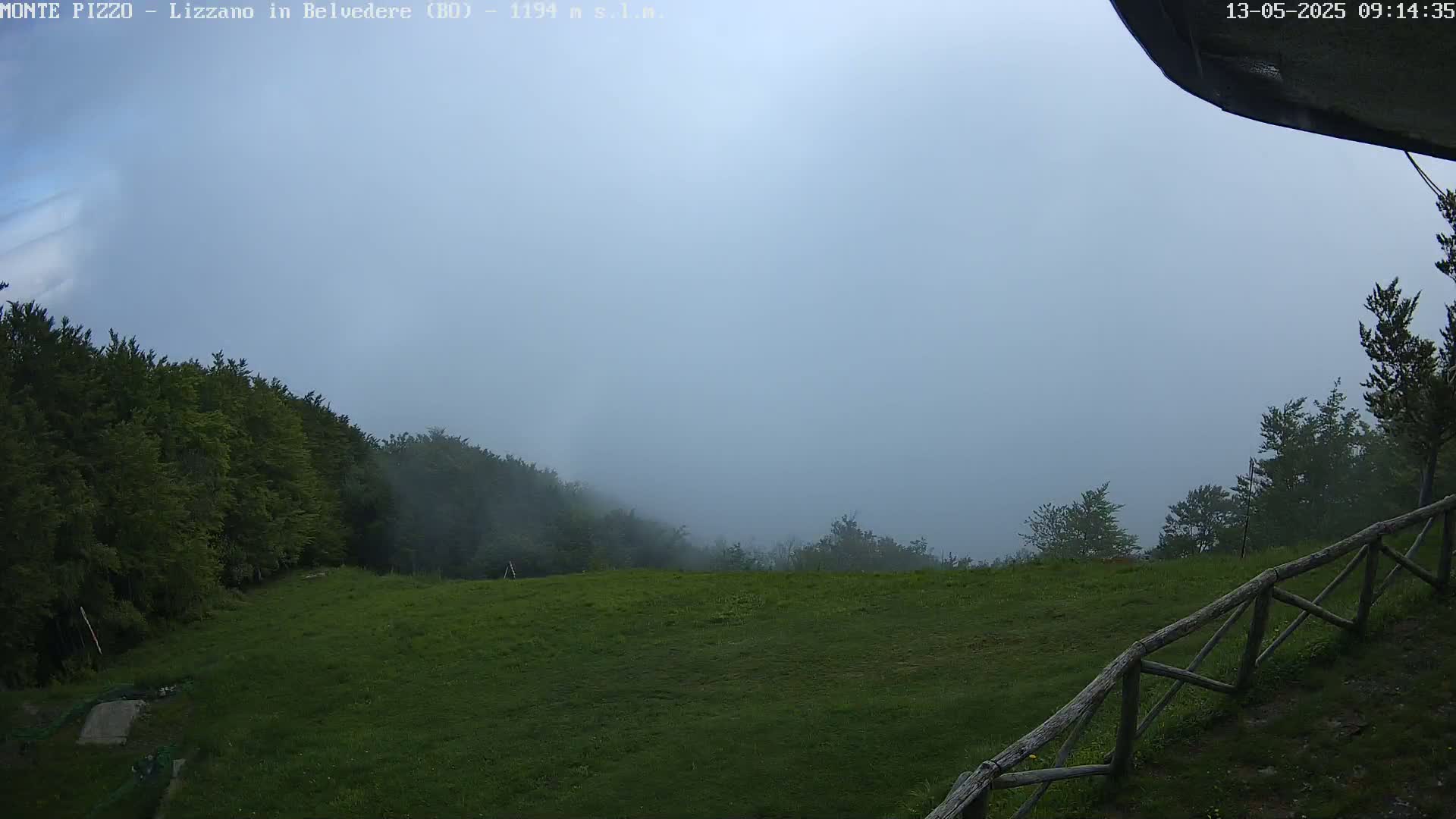 A grassy field bordered by a wooden fence and forested hills is shrouded in a thick fog under a pale sky.
