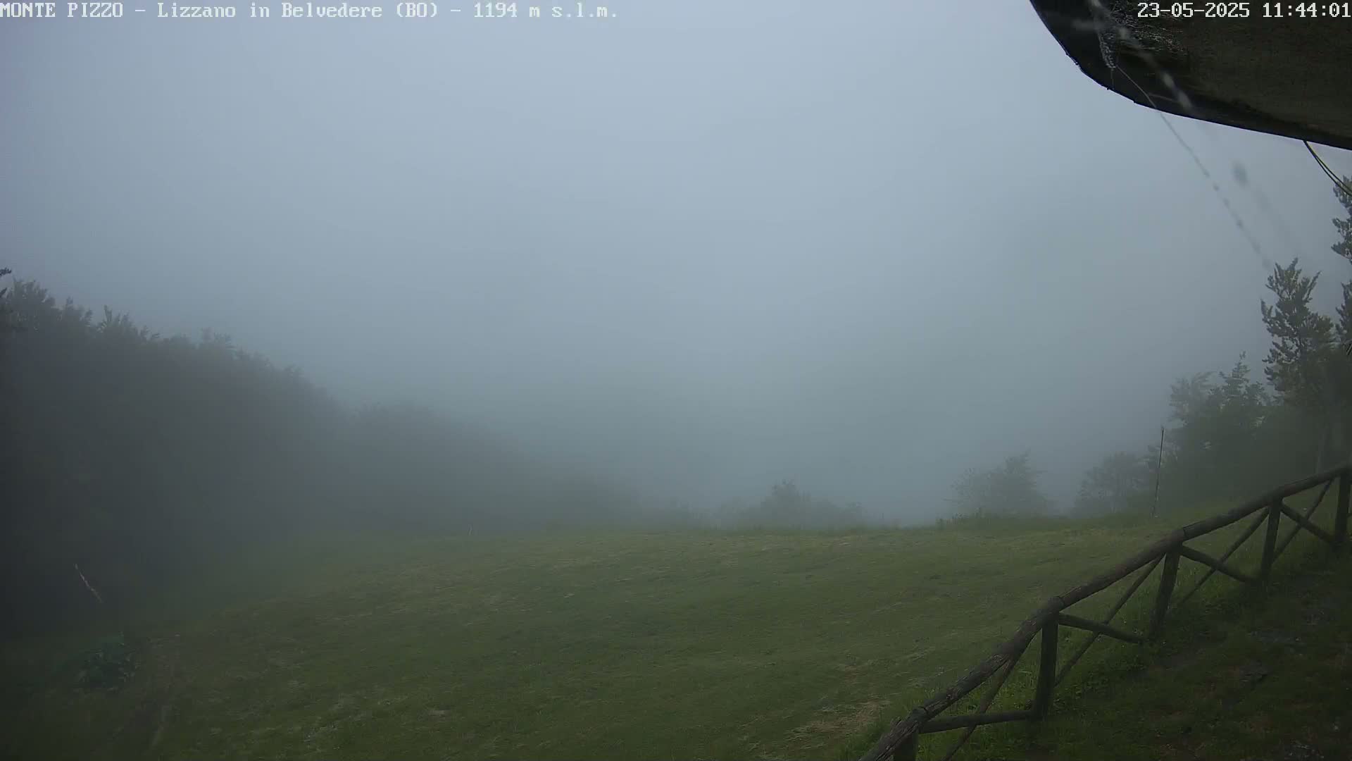 A foggy, possibly rainy day shows a grassy field with a wooden fence in the foreground and a hazy, tree-covered hillside in the background.