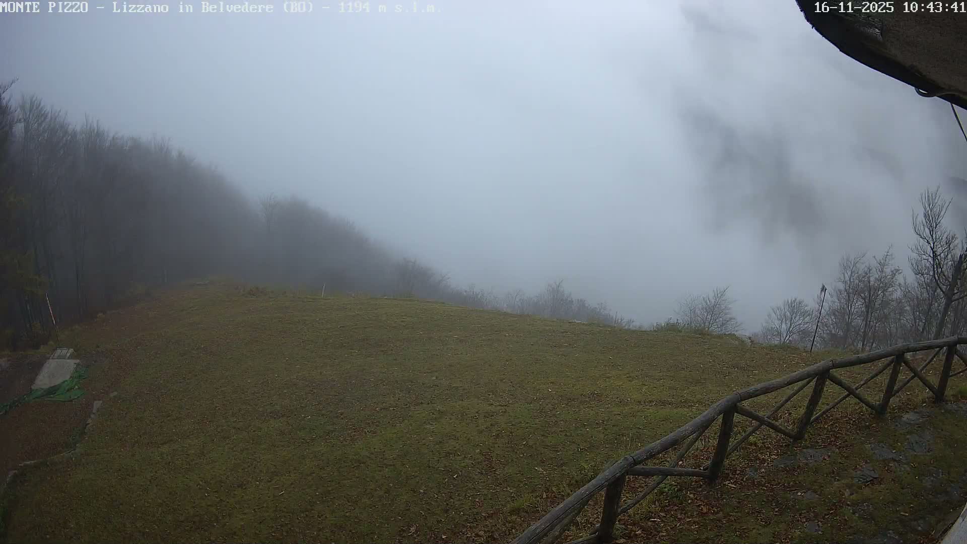 A grassy hillside with sparse, bare trees and a wooden fence in the foreground is enveloped in thick fog, heavily obscuring the distant background.