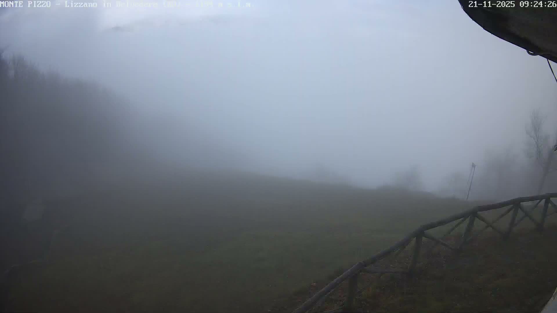 A very foggy outdoor scene reveals a grassy hillside with faint trees and a wooden fence in the foreground, indicating extremely low visibility.