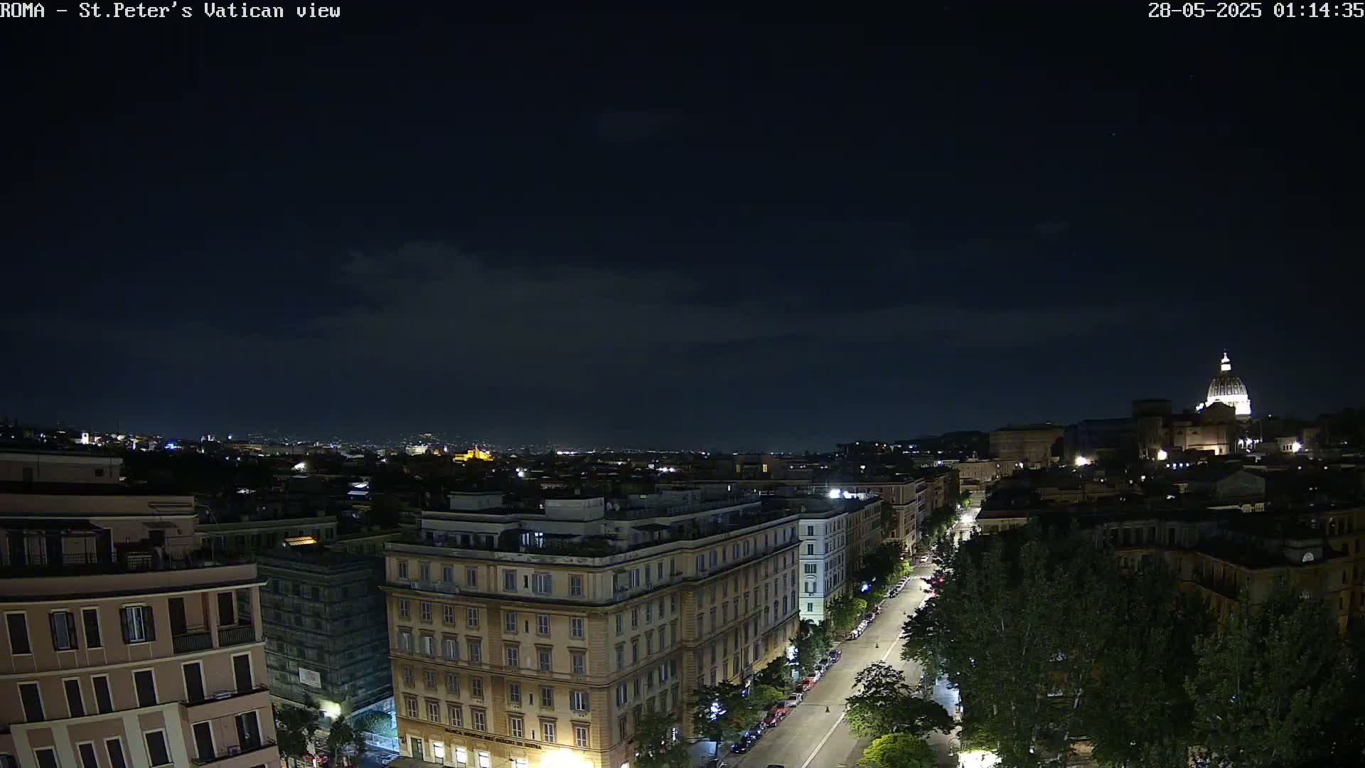 A nighttime view of a city street and buildings, with St. Peter's Basilica visible in the distance under a dark, mostly clear sky.