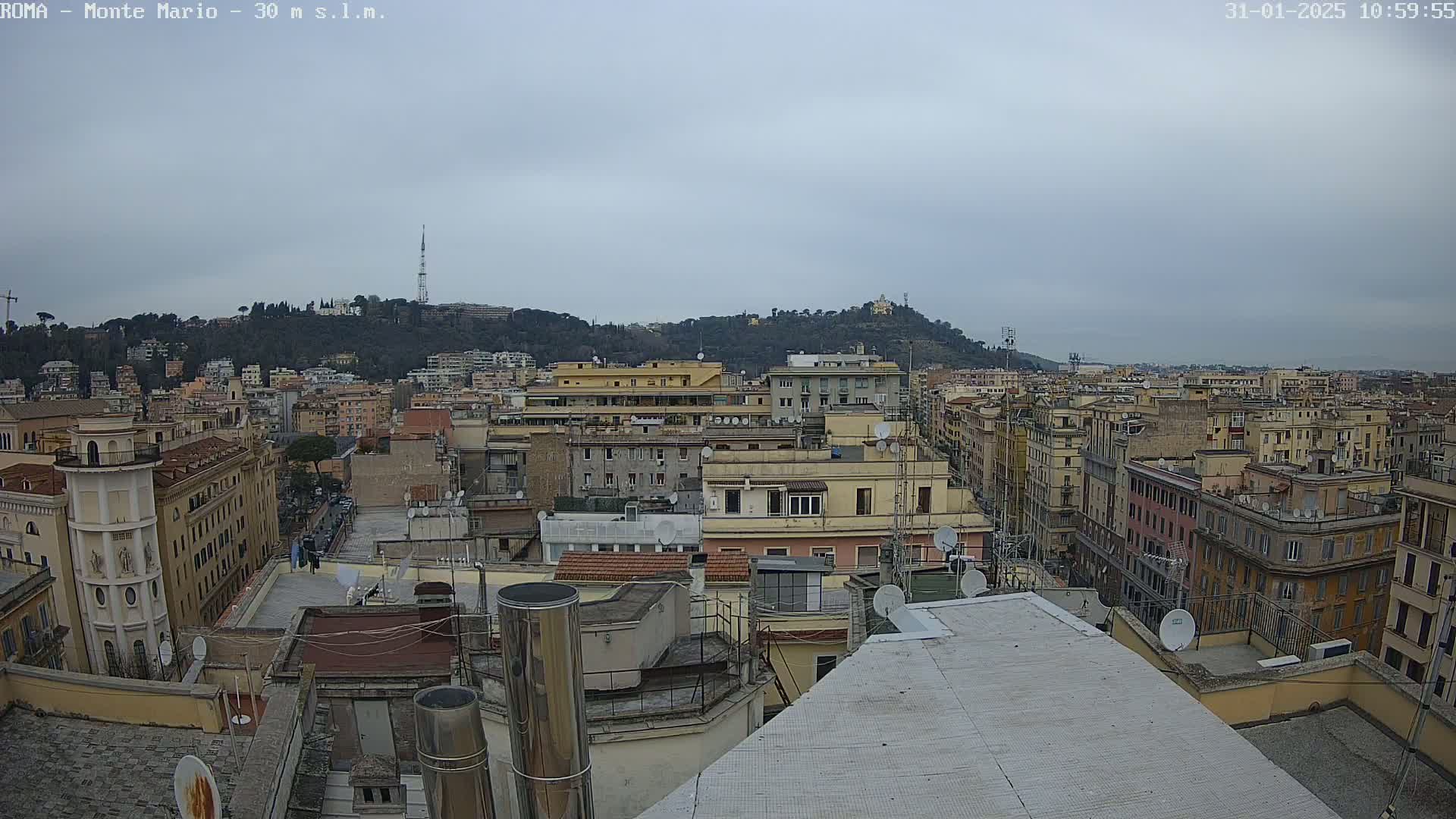 A view from a rooftop shows a cityscape under an overcast sky, with a hill covered in trees and buildings in the background.