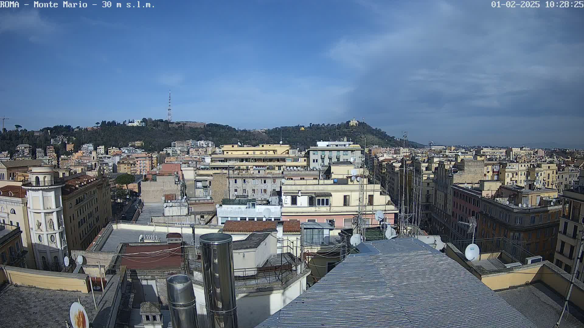 A mostly sunny cityscape view from a rooftop, showing numerous buildings extending to a tree-covered hill in the distance.