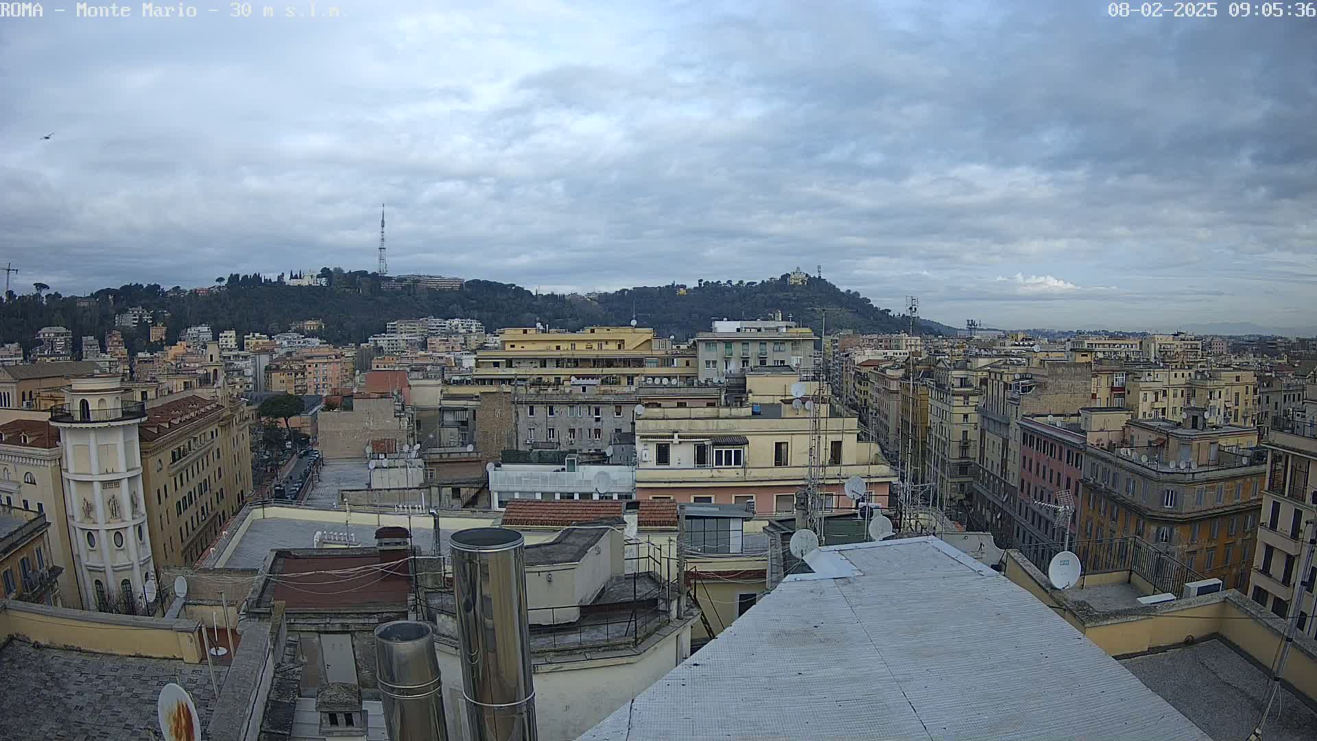 A cityscape view on an overcast day shows many buildings extending to a tree-covered hill in the distance.