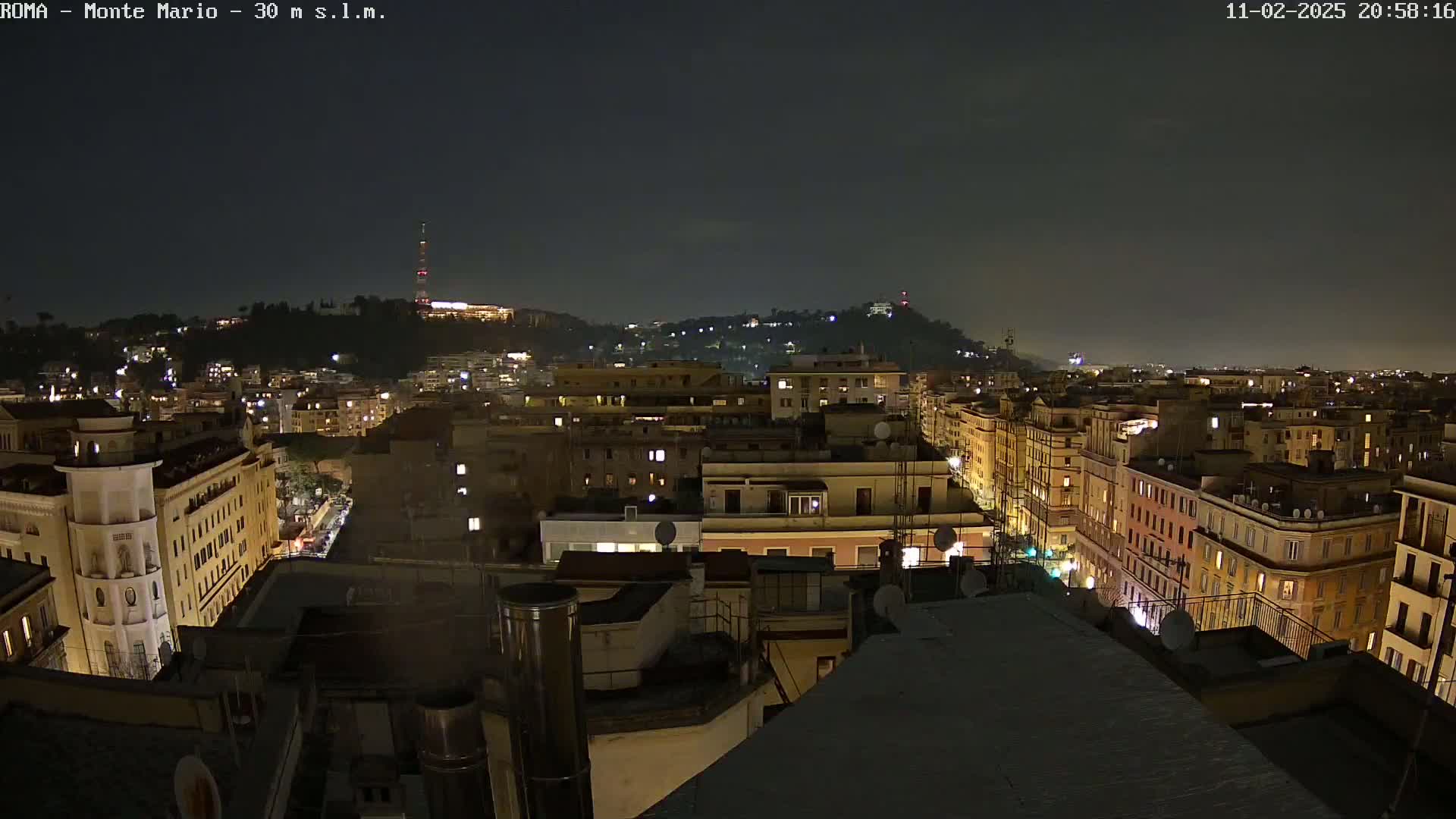A nighttime view of a city, showing illuminated buildings and streets extending to a hill in the distance under a dark sky.