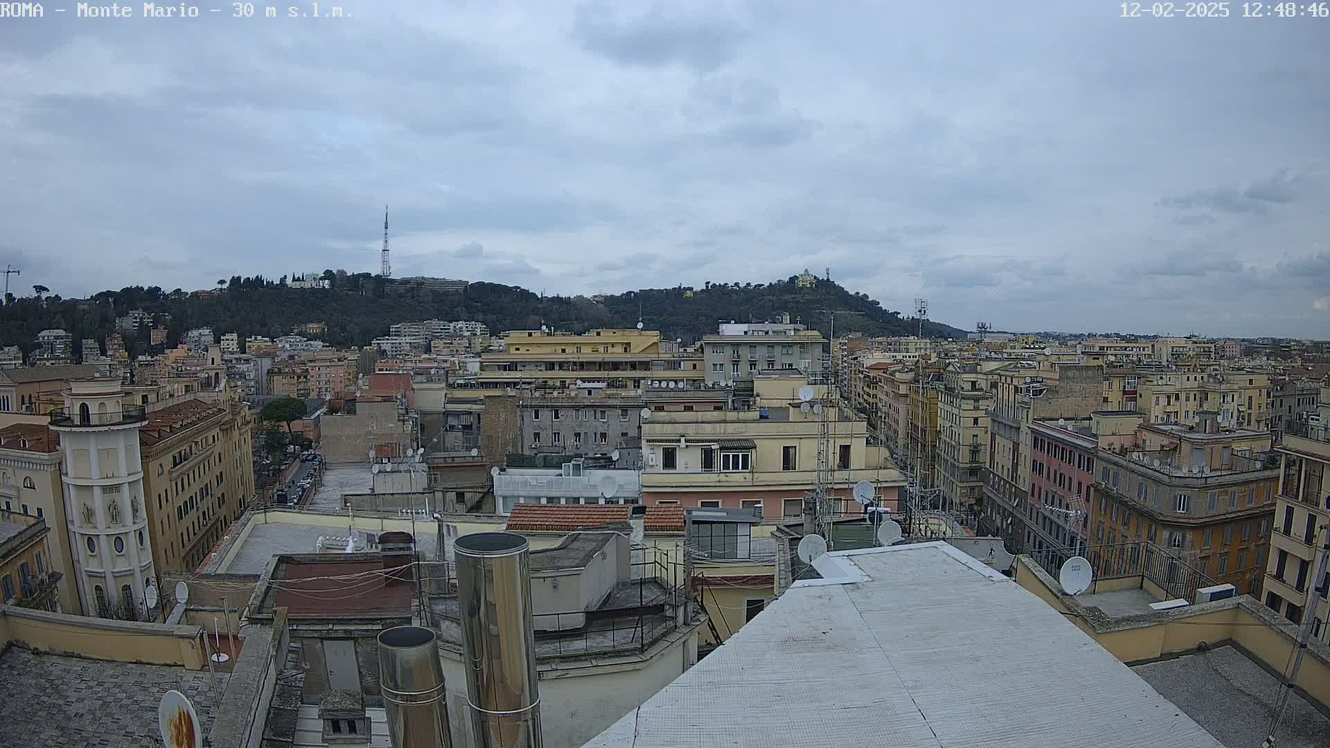 A cityscape of numerous buildings under a cloudy sky, with a hill covered in trees in the background.