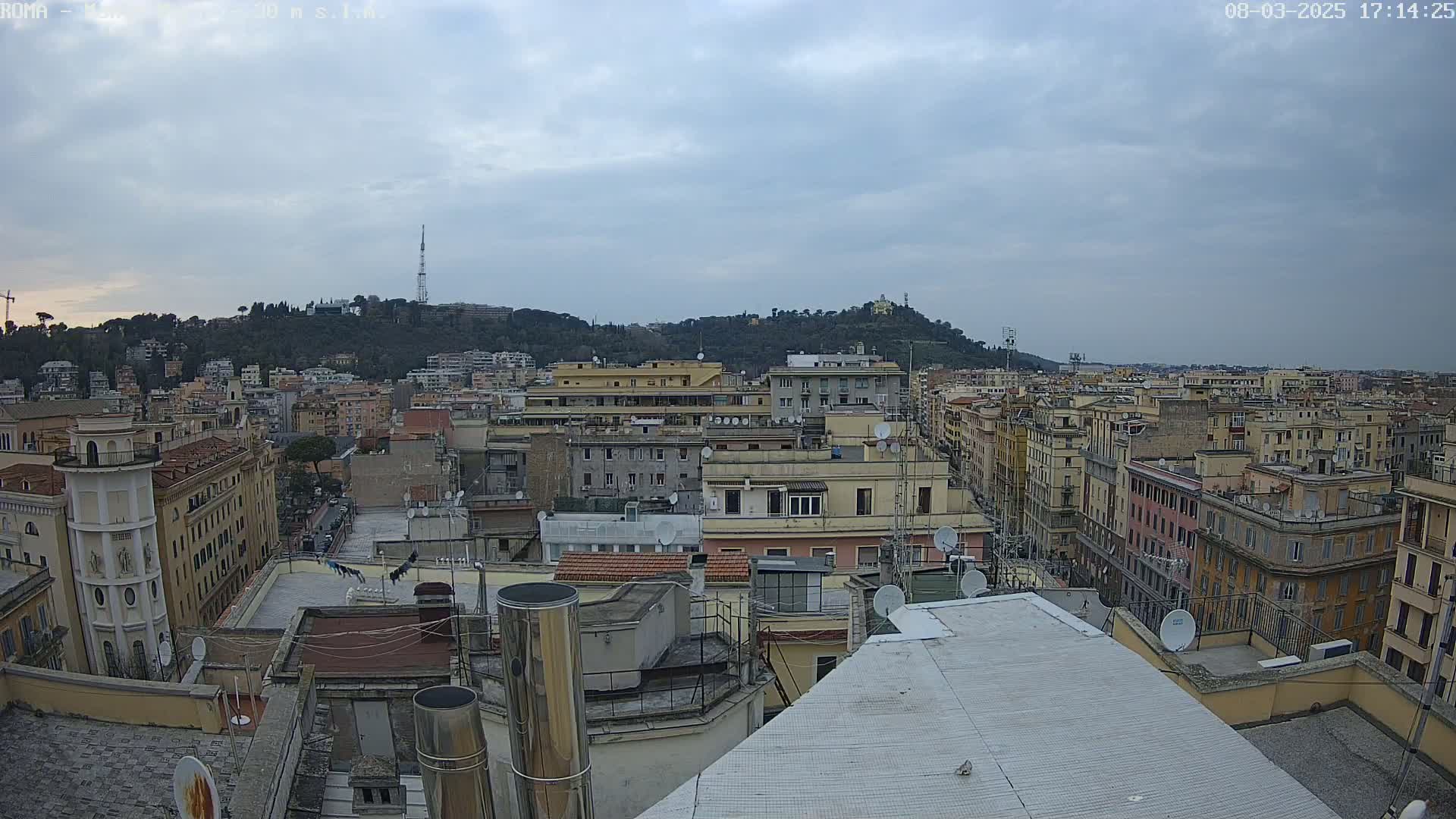 A city rooftop view on an overcast day shows numerous buildings stretching to a tree-covered hill in the distance.