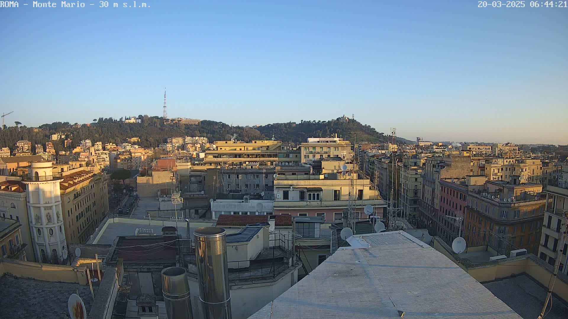 A rooftop view of a dense cityscape under a clear, bright sky, with a hill covered in trees in the background.