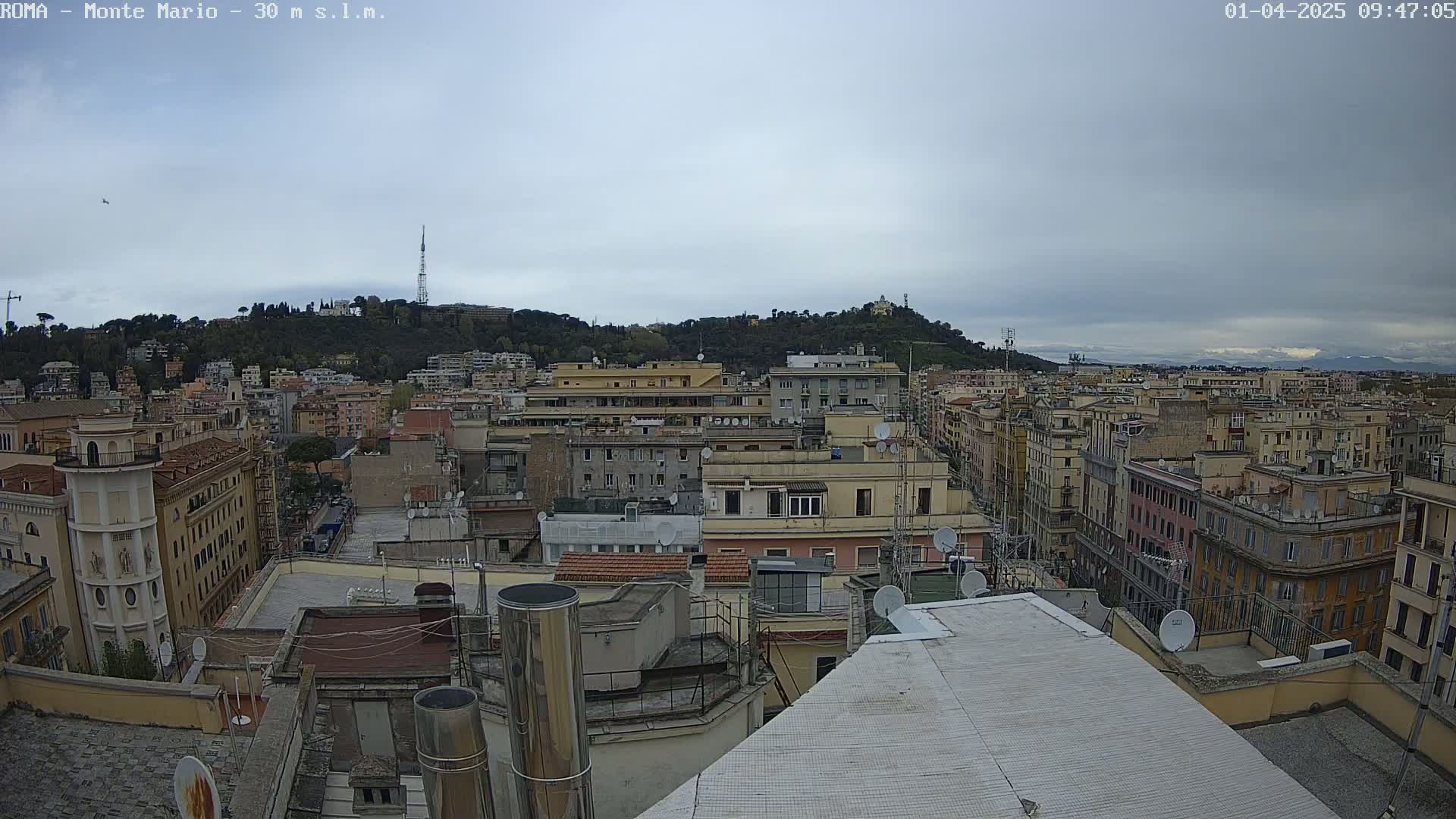 A city view on an overcast day shows many buildings with rooftop satellite dishes and chimneys, overlooking a tree-covered hill in the distance.