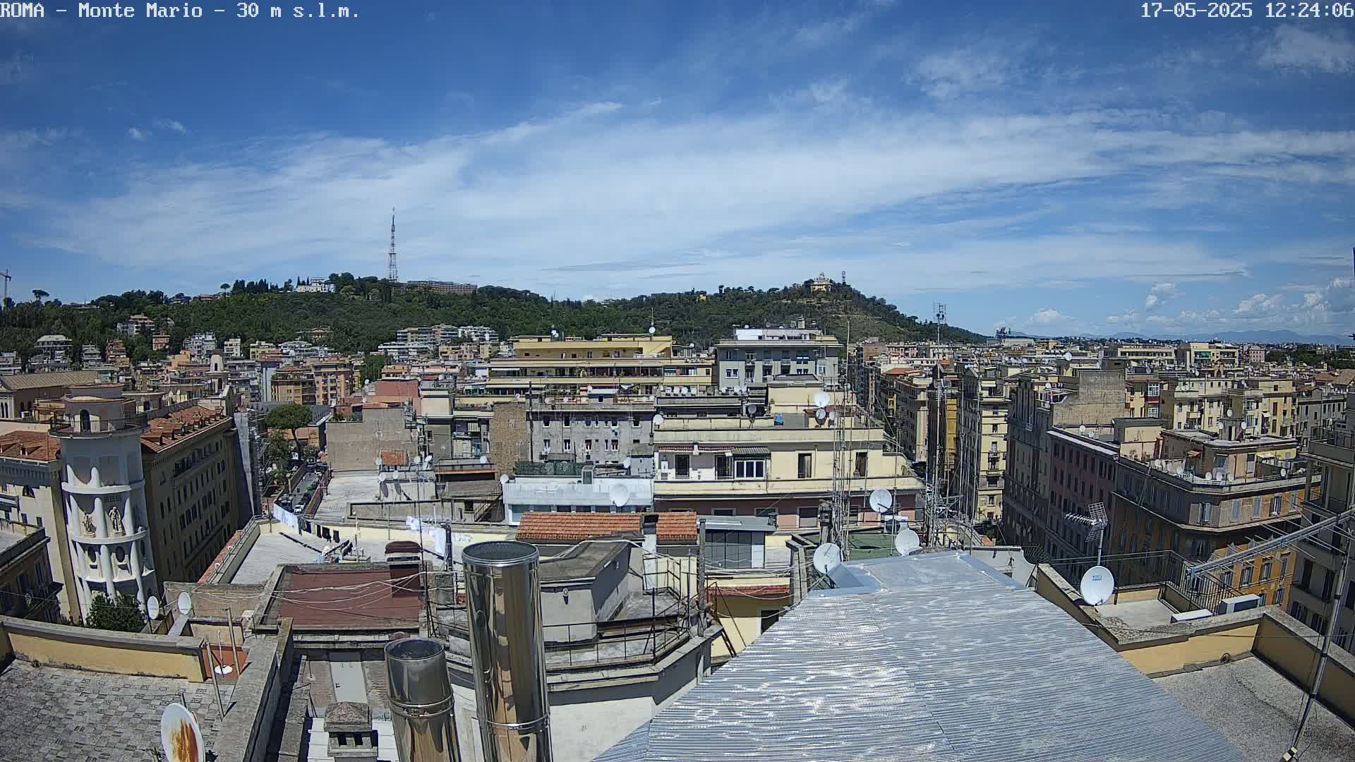 A high-angle view of a city under a mostly sunny sky with a few scattered clouds, showing numerous buildings and rooftops extending to a tree-covered hill in the distance.