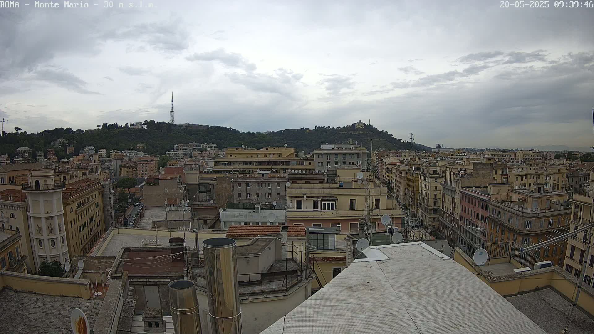A view from a rooftop shows a cityscape under an overcast sky, with a hill covered in trees and buildings in the background.