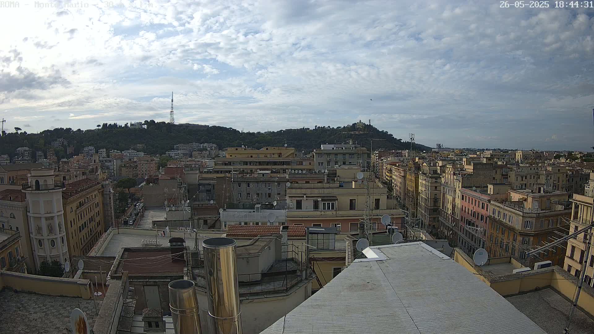 A rooftop view of a densely packed city under a partly cloudy sky, showing numerous buildings extending to a tree-covered hill in the distance.