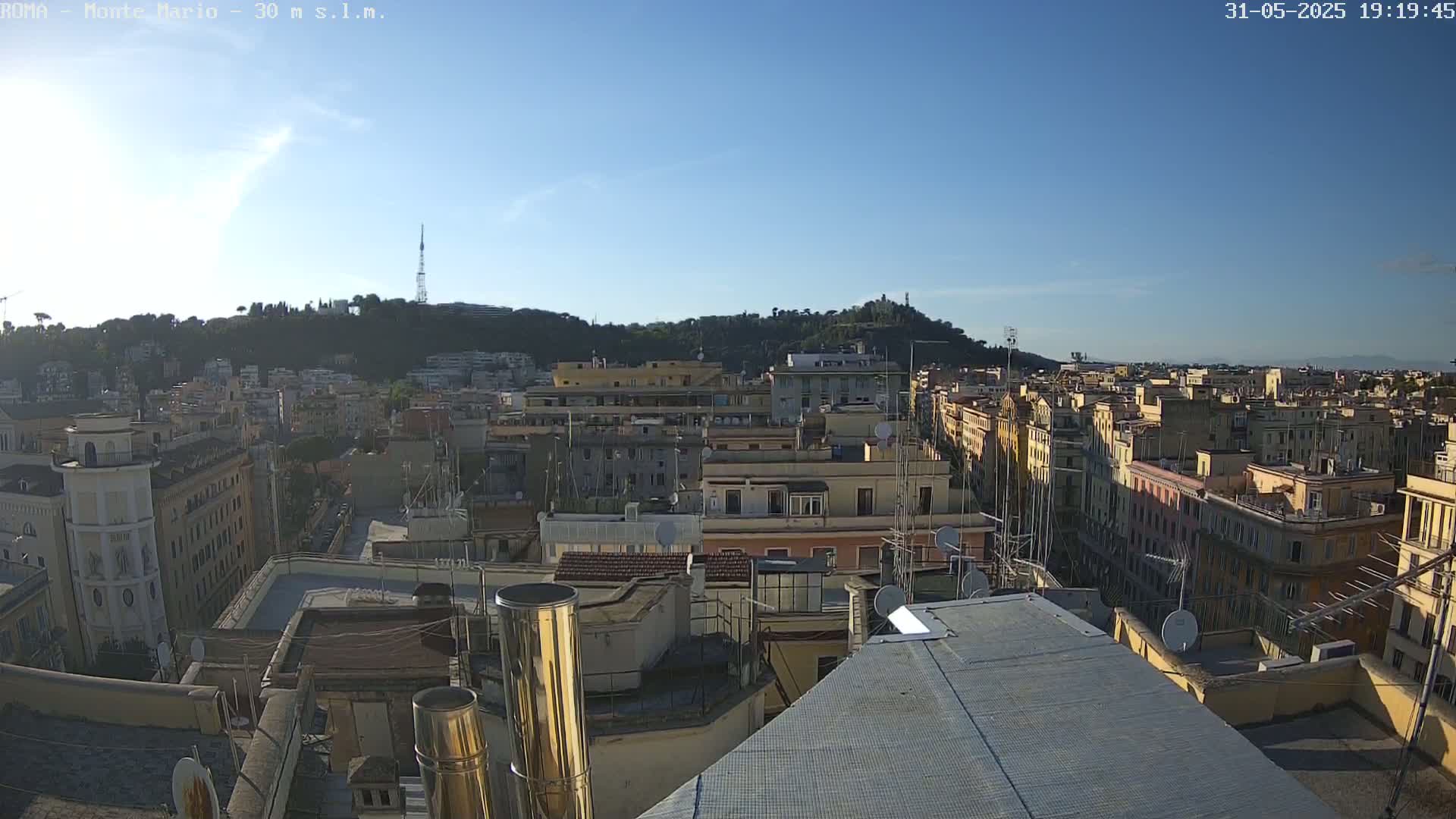 A high-angle, long shot on a clear, sunny day shows a cityscape of numerous buildings and rooftops, with a hill covered in trees in the background.