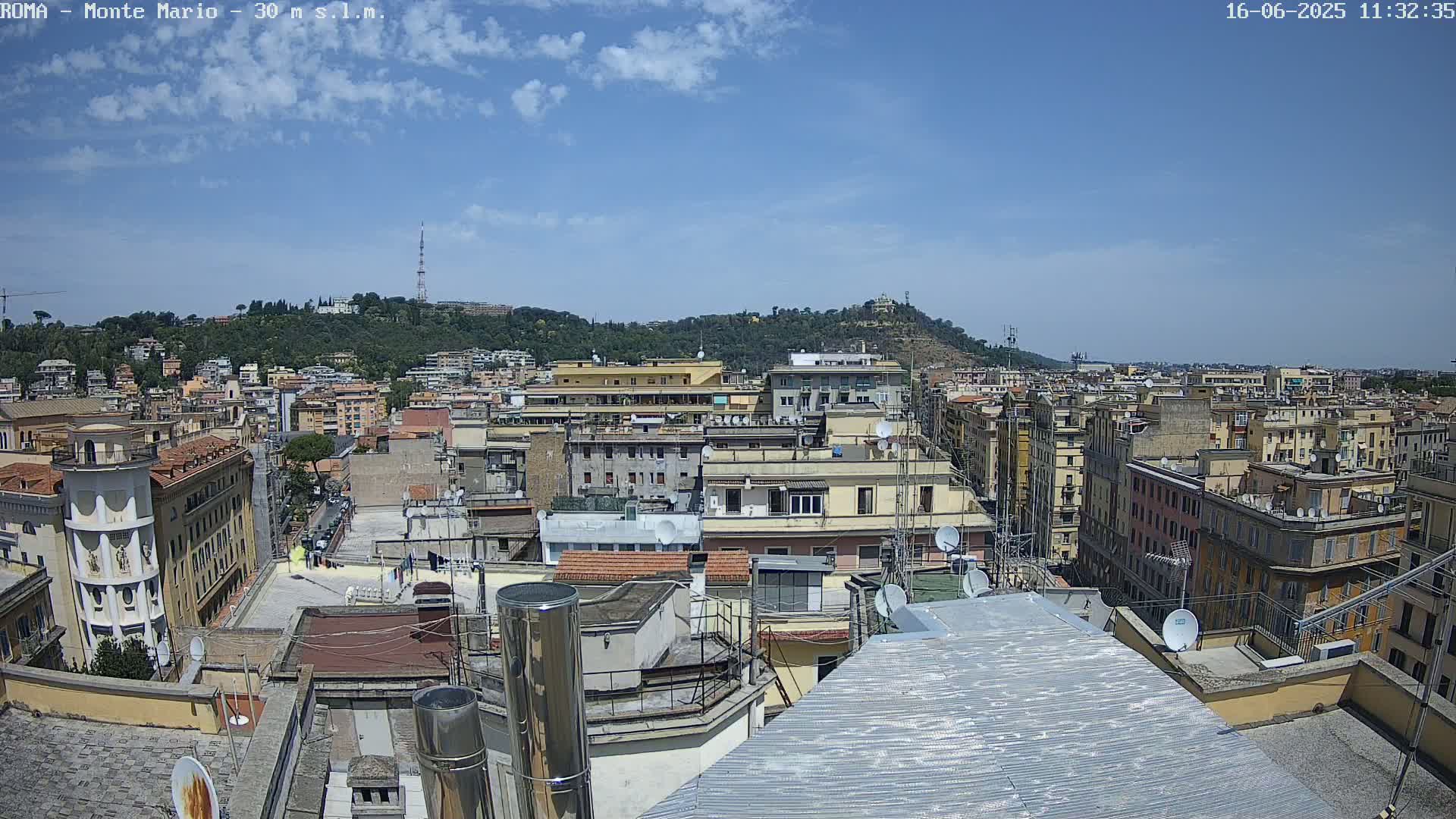 A rooftop view of a densely populated city on a sunny day, with a hill covered in green vegetation in the background.