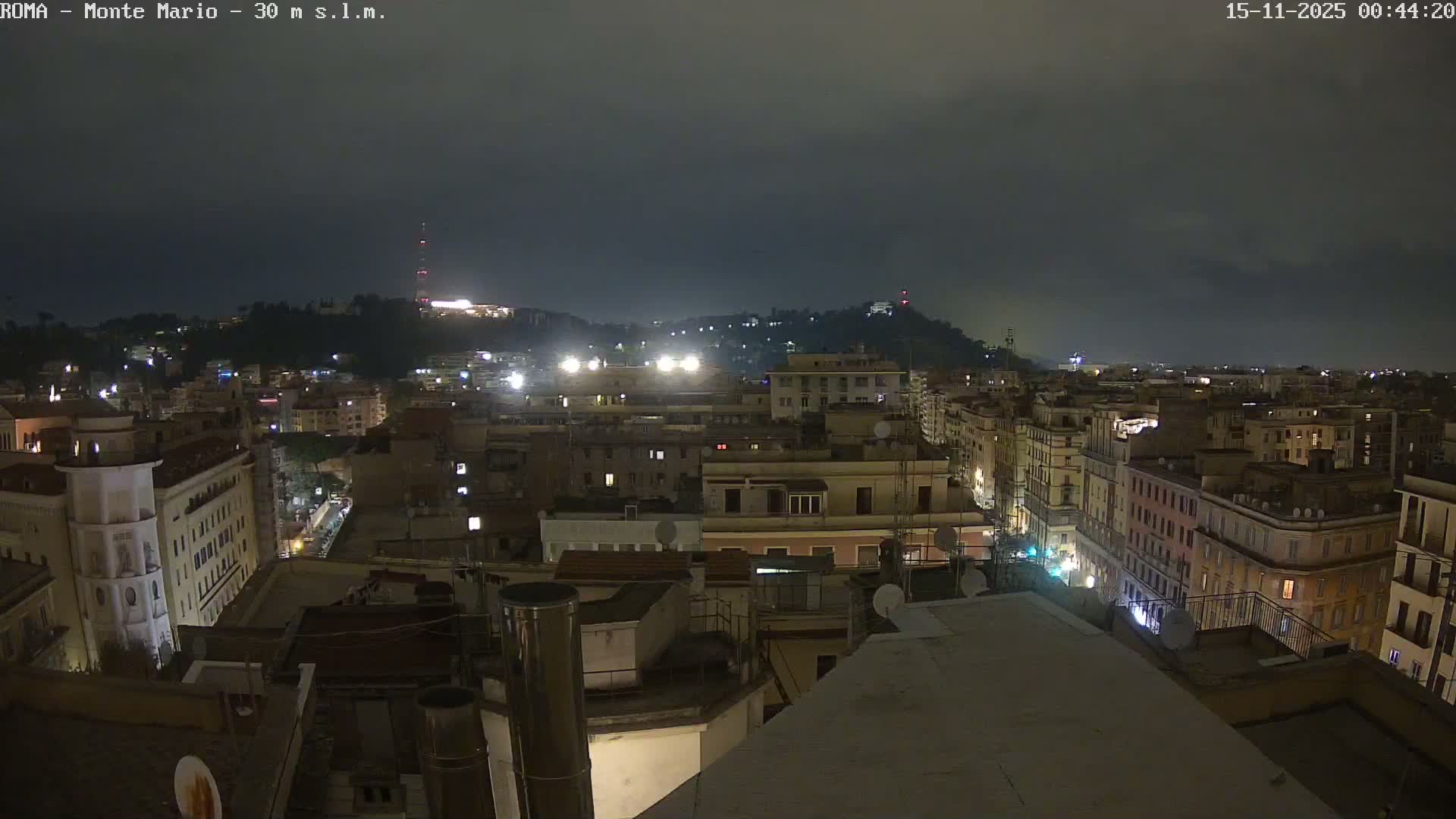 This nighttime view from a rooftop reveals a sprawling city with densely packed, illuminated buildings extending towards distant hills under an overcast sky.