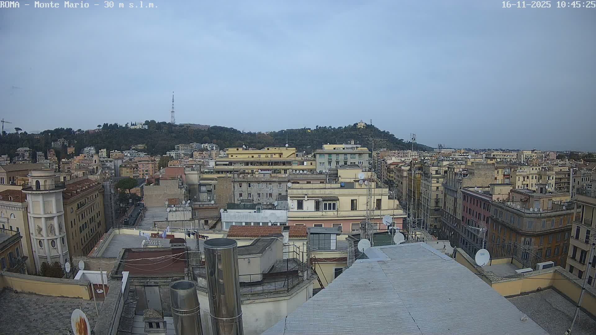 An expansive daytime vista captures a densely built urban landscape under an overcast sky, viewed from a rooftop, with numerous multi-story buildings stretching towards distant, tree-covered hills featuring a prominent tower and other structures.