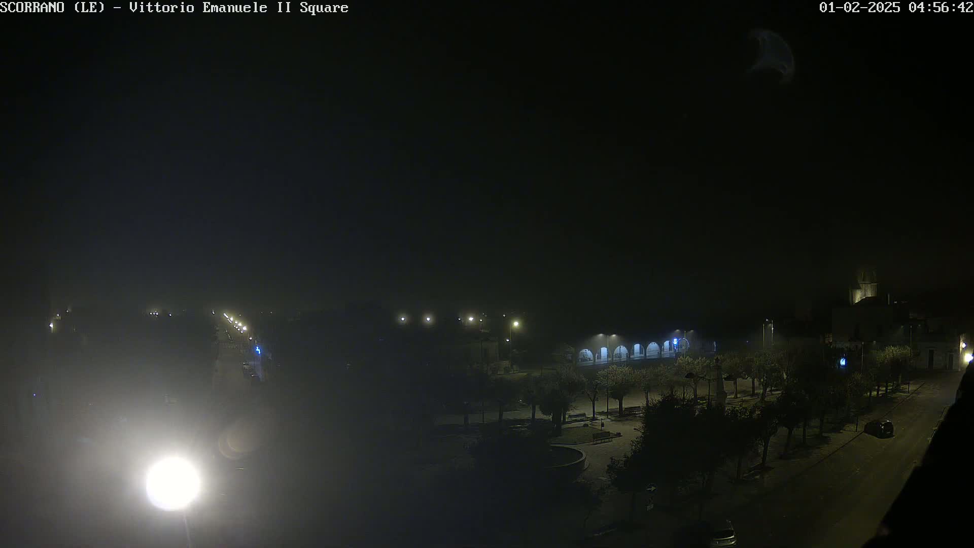 A nighttime, hazy view of a town square with dimly lit trees, buildings, and a street.