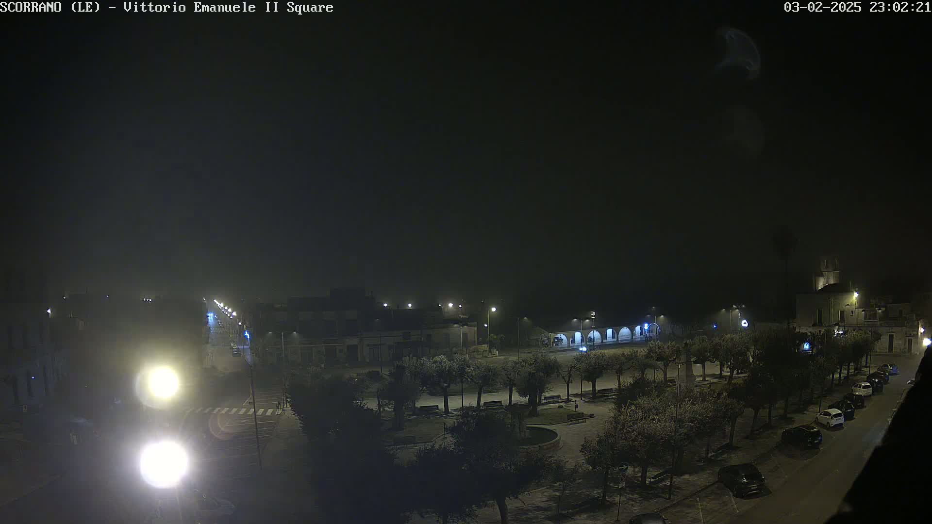 A nighttime, foggy view of a town square with parked cars and trees, illuminated by streetlights.