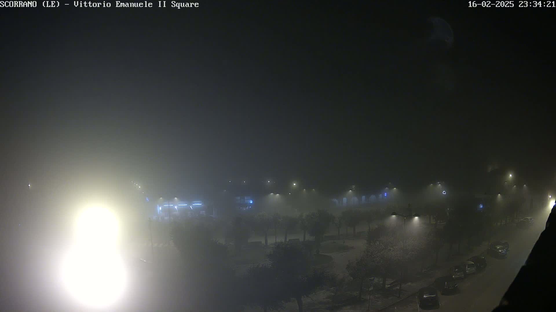 A nighttime, foggy view of a square with parked cars, trees, and streetlights.