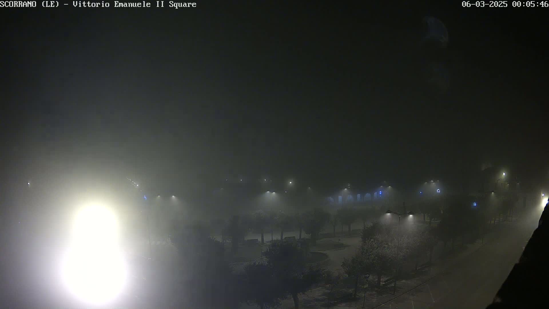 A foggy night scene shows a square with trees and streetlights, illuminated in the dense fog.