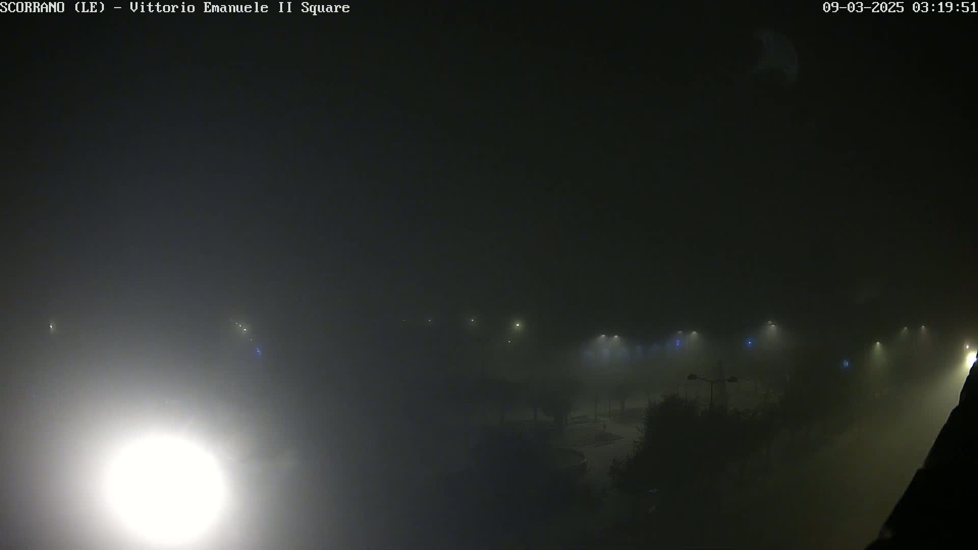 A foggy, nighttime scene shows dimly lit streetlights and indistinct shapes of trees and possibly parked cars in a square.