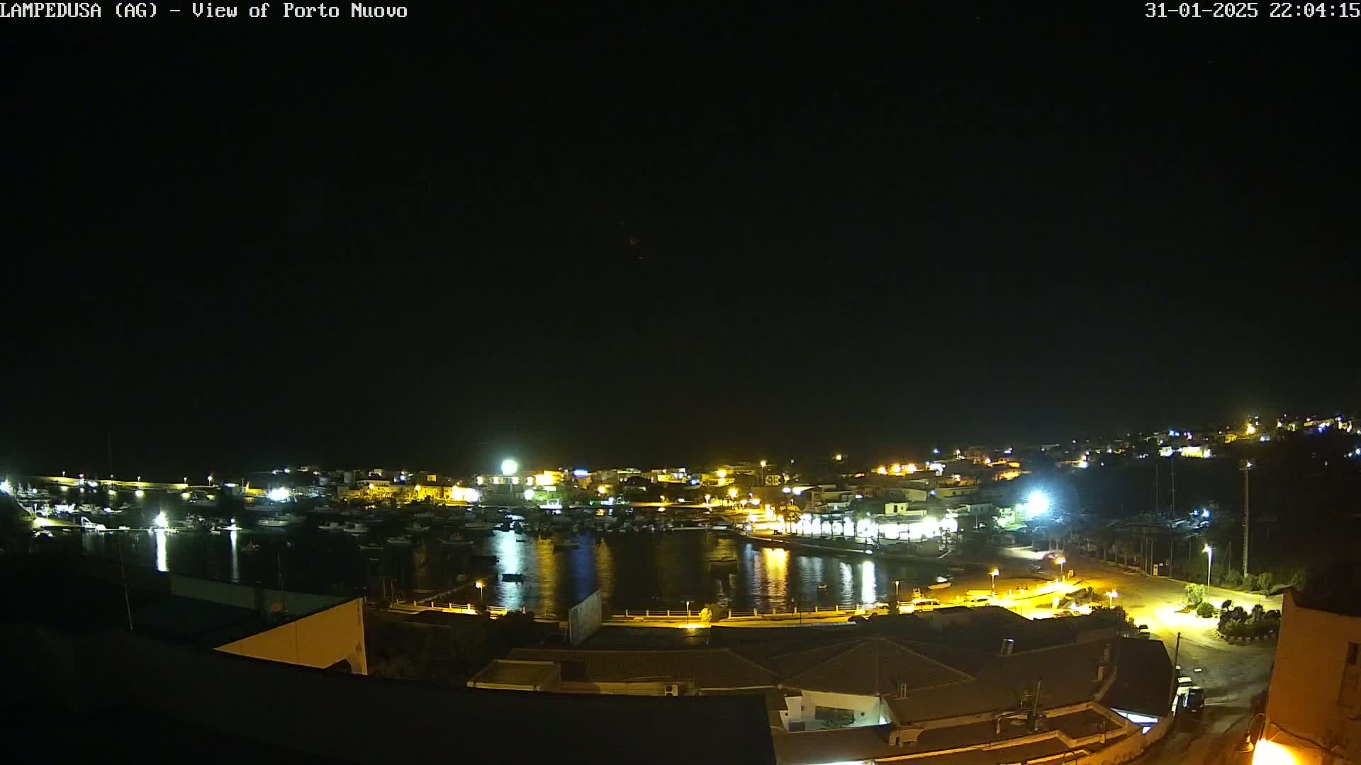 A nighttime view of a harbor town with boats in the water and lights illuminating the buildings and streets under a clear, dark sky.