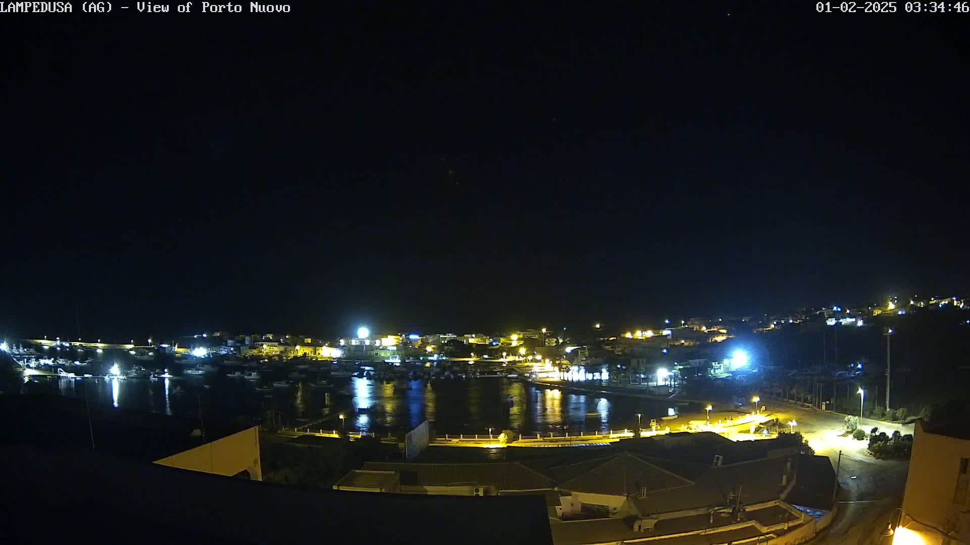 A nighttime view of a harbor filled with boats, illuminated by streetlights and building lights under a clear, dark sky.