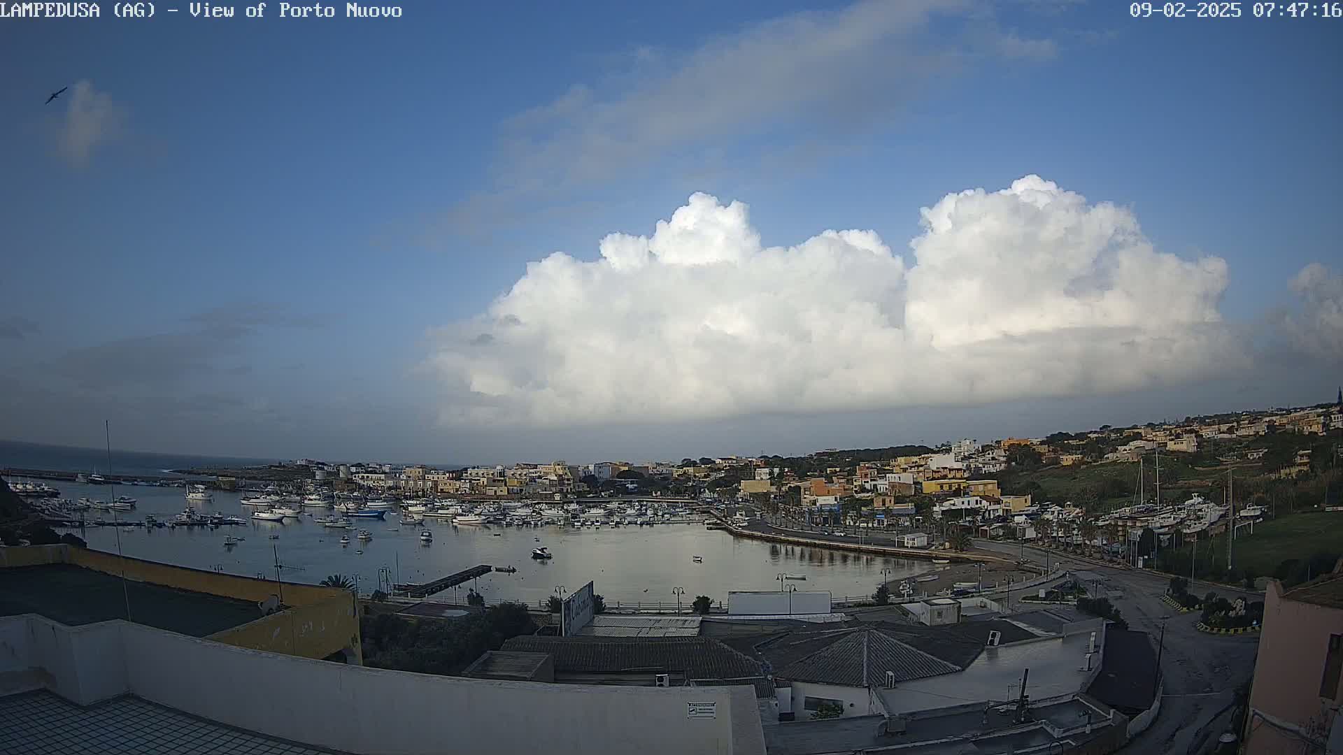A harbor filled with numerous boats is situated below a large, bright cumulus cloud in a mostly clear sky.