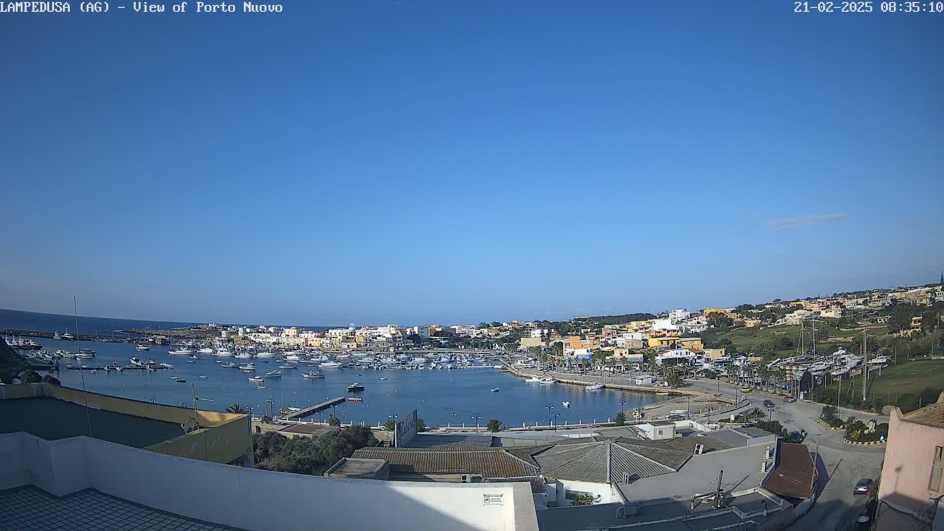 A harbor filled with numerous boats is nestled within a town situated on a hillside under a clear blue sky.