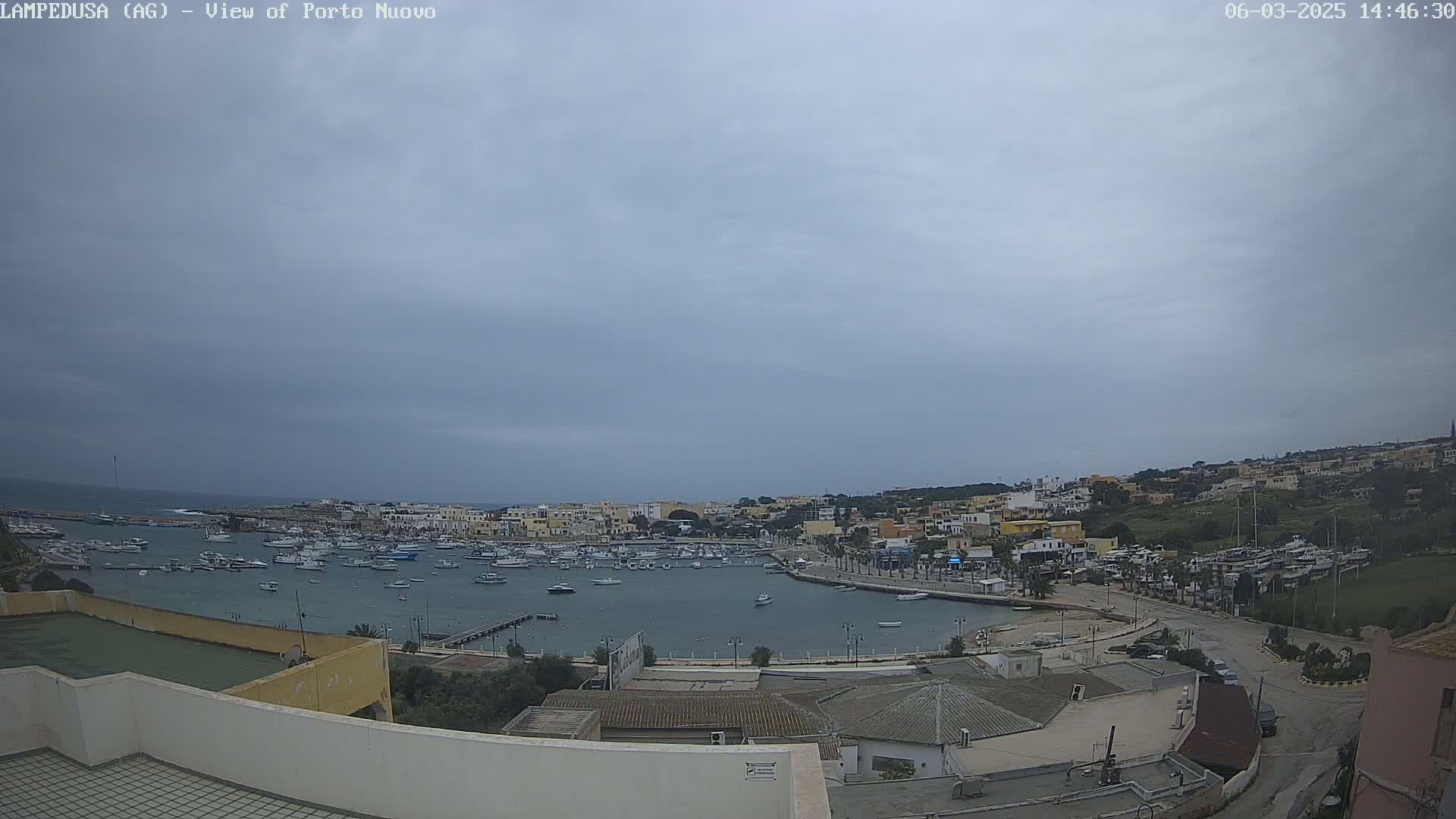 A harbor filled with boats is situated in a town built on a hillside under an overcast sky.