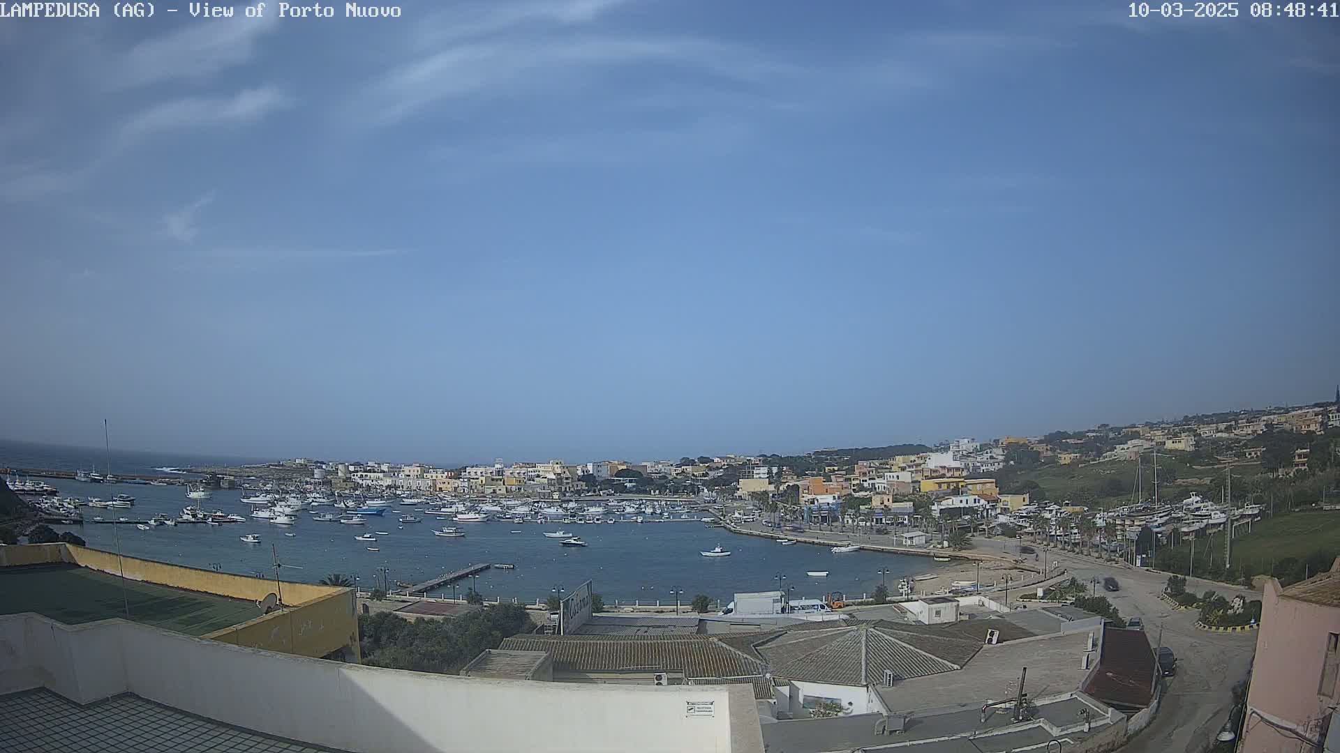 A harbor filled with numerous boats is situated in a town nestled against a hillside under a mostly clear, blue sky.