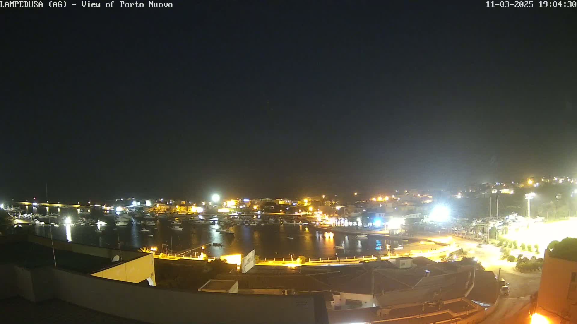 A nighttime view of a harbor filled with boats, surrounded by illuminated buildings and a clear, dark sky.