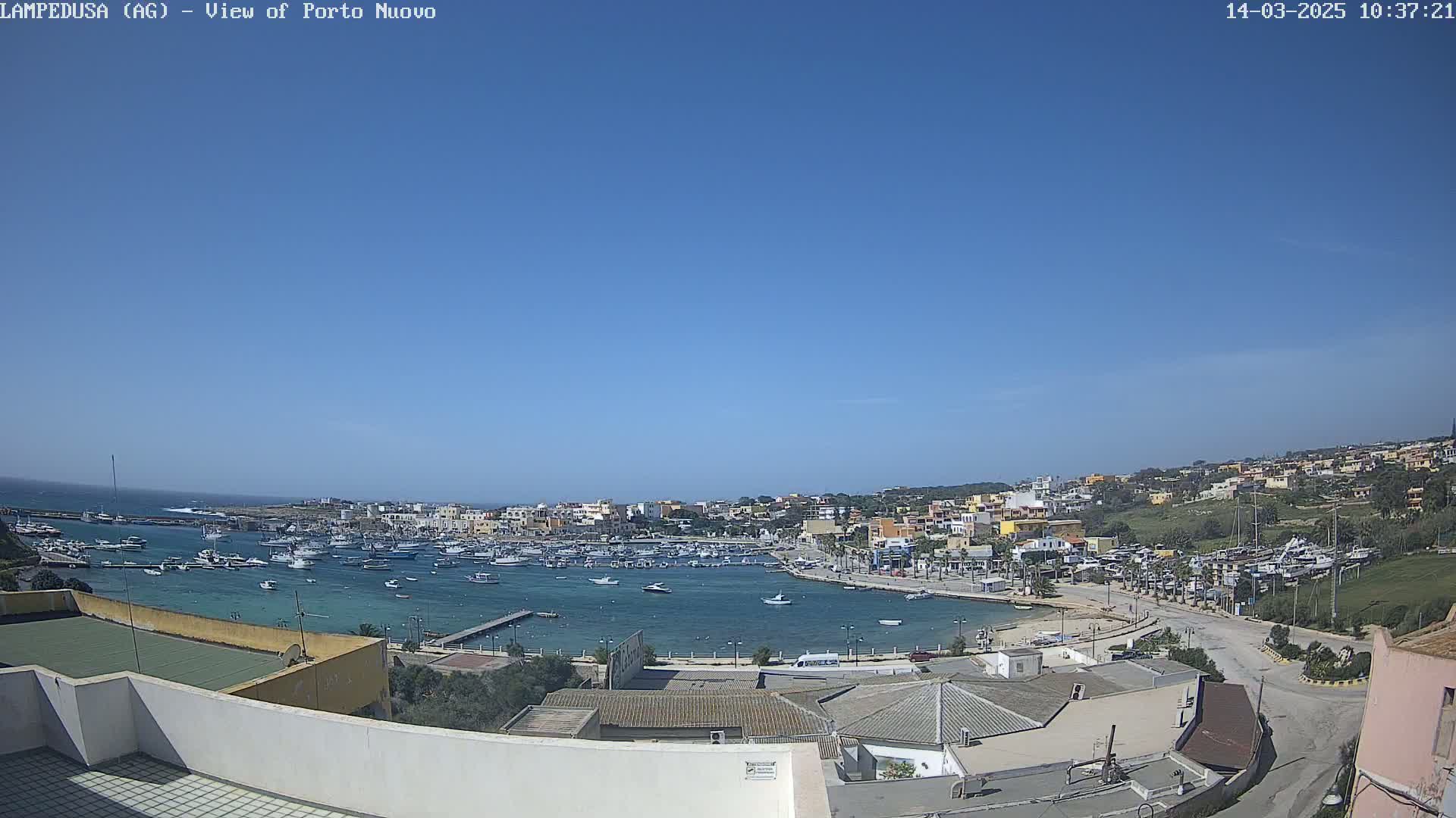 A harbor filled with numerous boats is situated in front of a town under a clear blue sky.