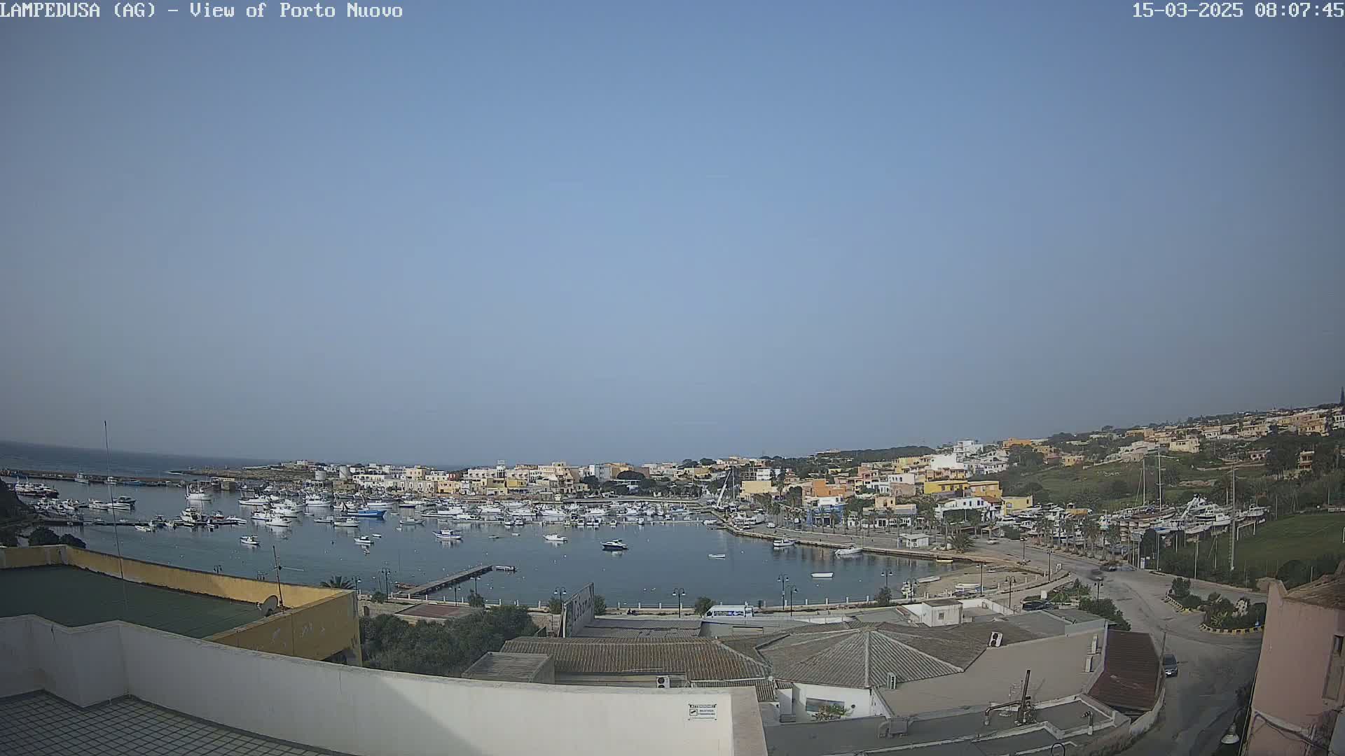 A harbor filled with boats is nestled within a town situated on a hillside overlooking the sea under a clear sky.