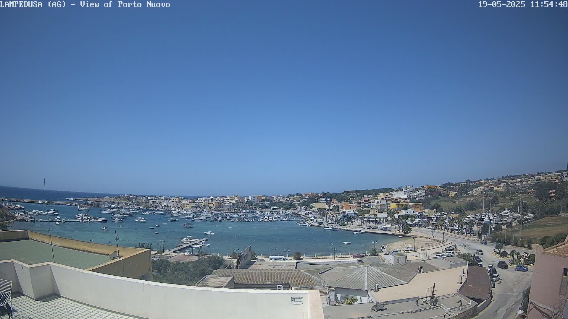 A sunny day overlooking a harbor filled with boats and a town built on a hillside.