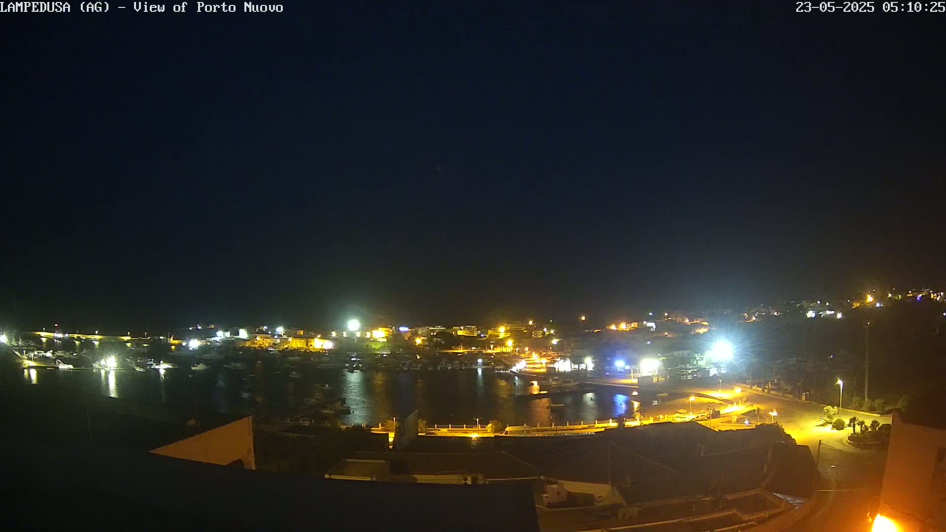 A nighttime view of a harbor filled with boats, surrounded by illuminated buildings and streets under a clear, dark sky.