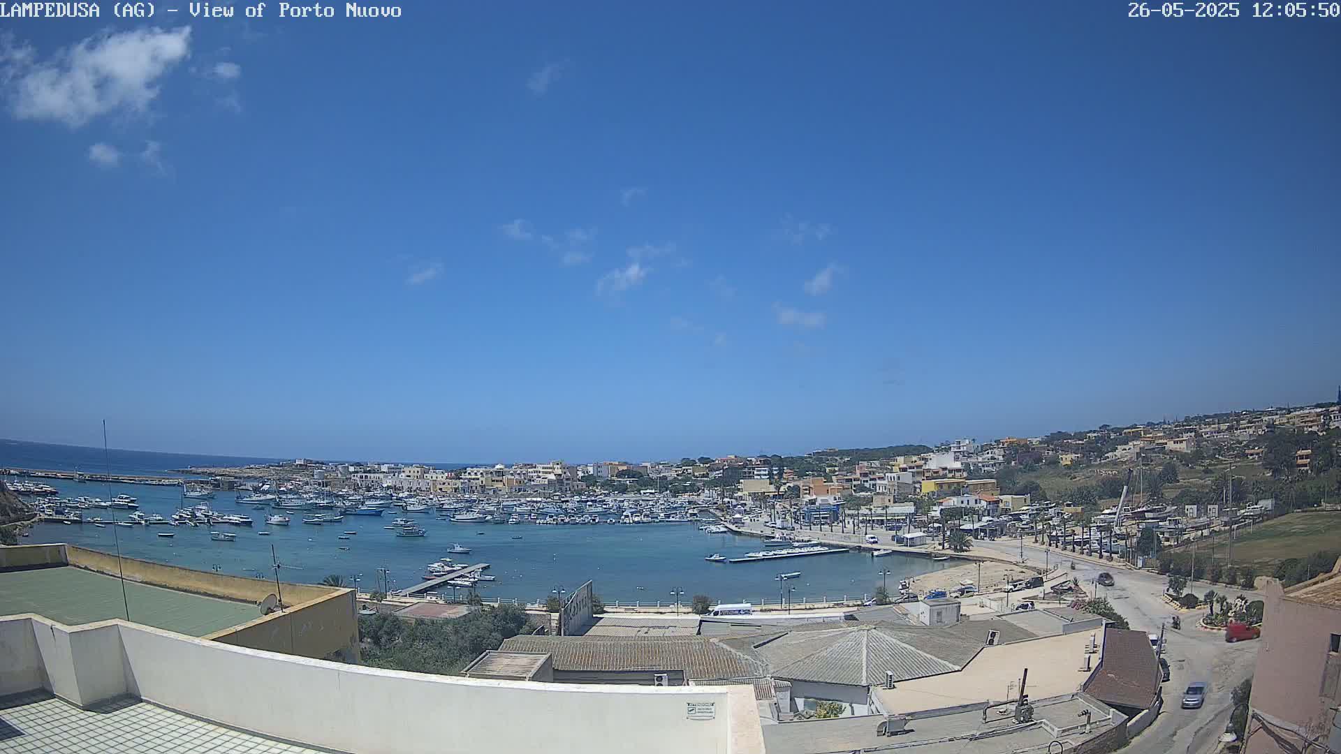 A harbor filled with boats is visible beneath a clear blue sky, with a town situated on a hillside beyond the waterfront.