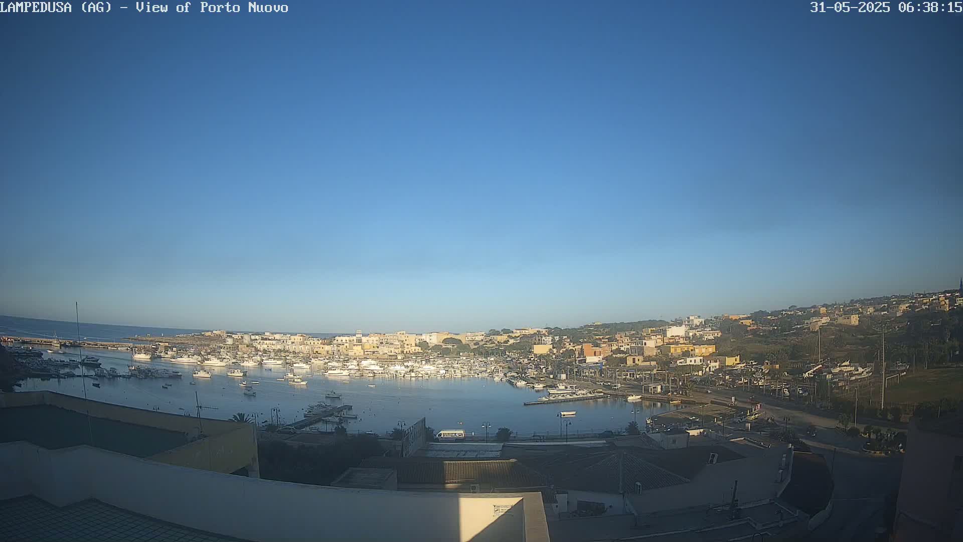 A harbor filled with numerous boats is situated below a hillside town under a clear blue sky.