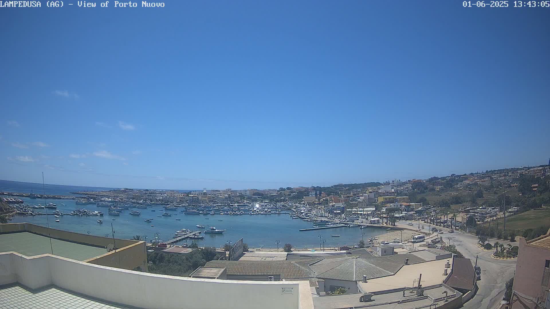 A harbor filled with boats is seen from an elevated vantage point on a clear, sunny day.