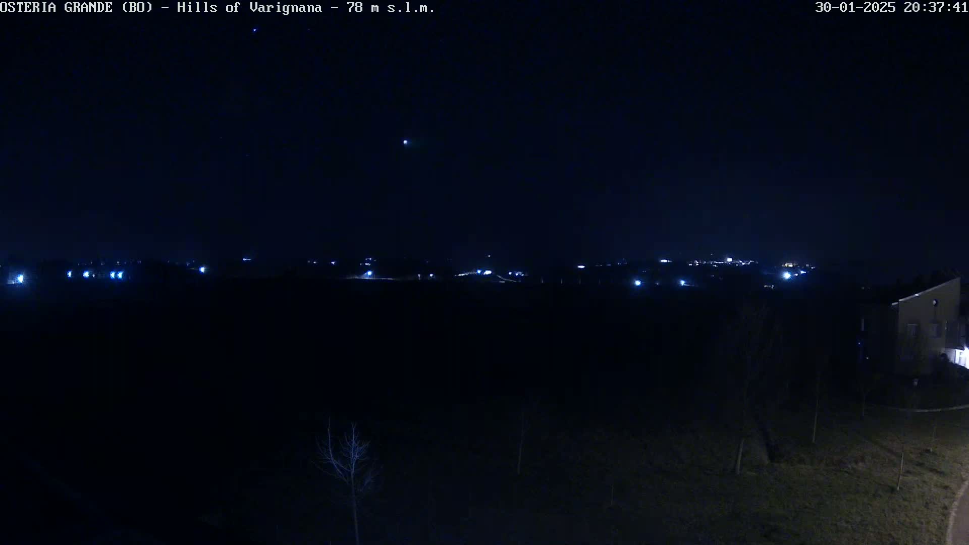 A nighttime view of a dark landscape with distant lights and a few bare trees, under a clear sky.