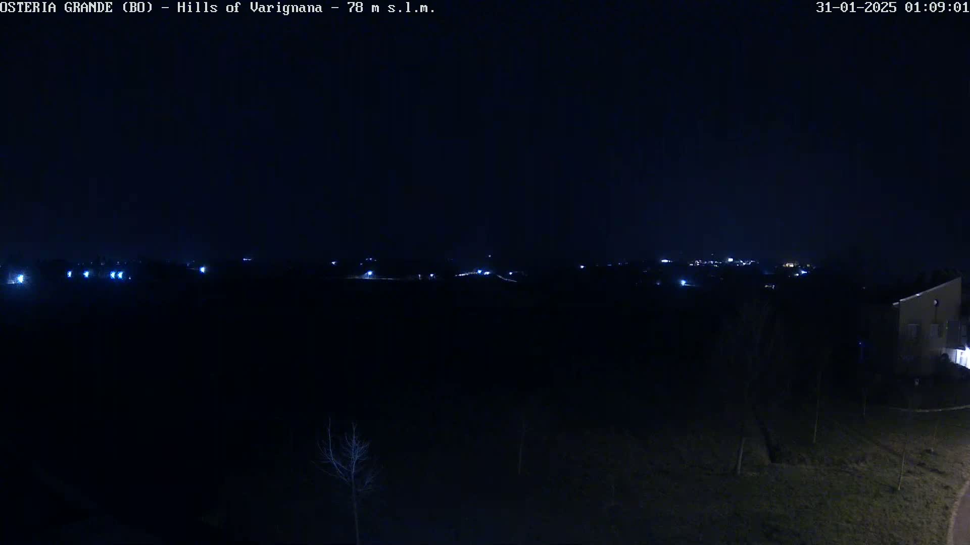 A nighttime, long shot of dimly lit, distant buildings and a few trees in the foreground under a dark sky.
