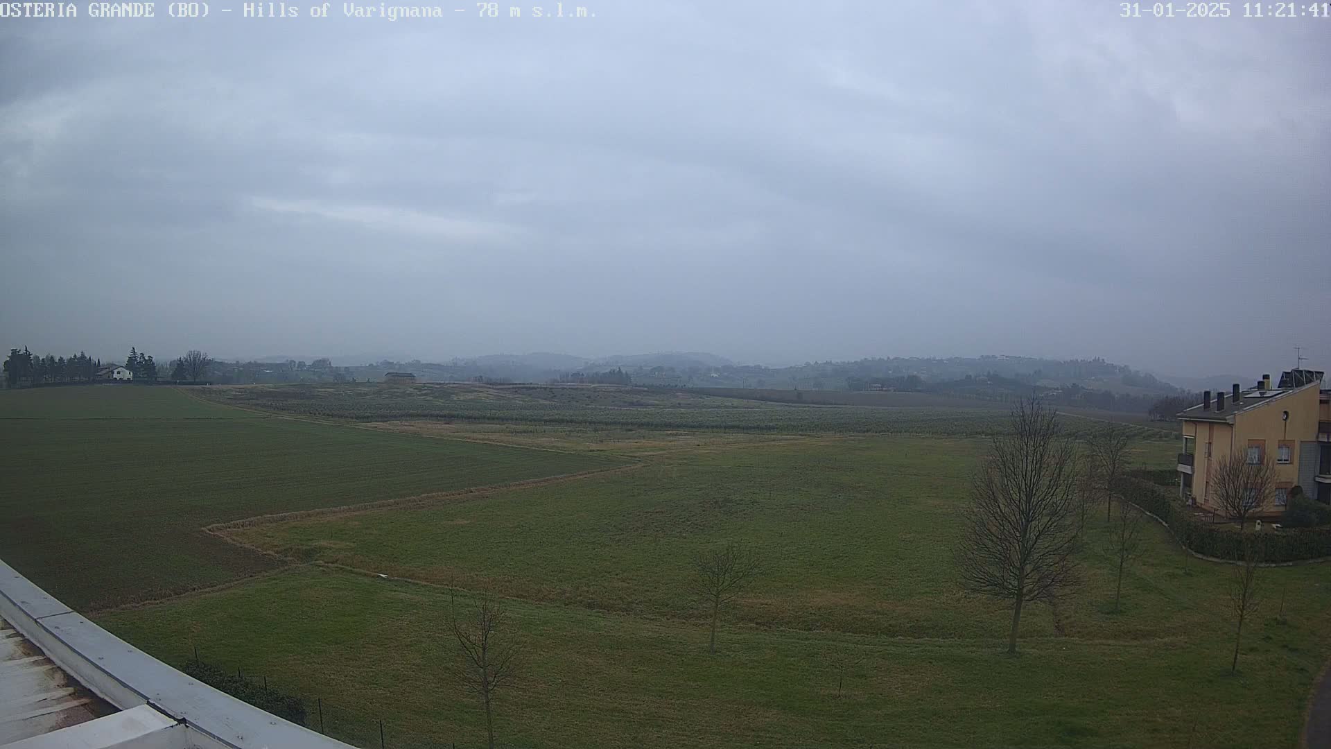 A wide, overcast view shows a flat expanse of green fields, a few buildings, and bare winter trees under a gray sky.
