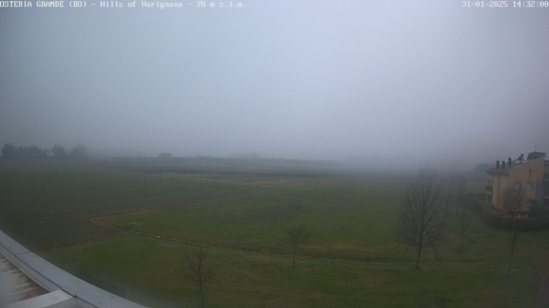 A foggy view of a flat, green field with a few bare trees and buildings in the distance.