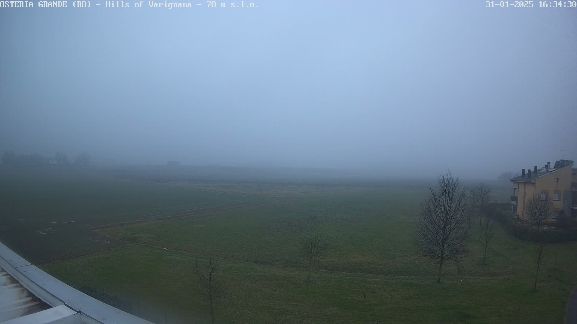 A foggy, flat landscape of green fields and a few bare trees, with a building visible in the lower right corner.