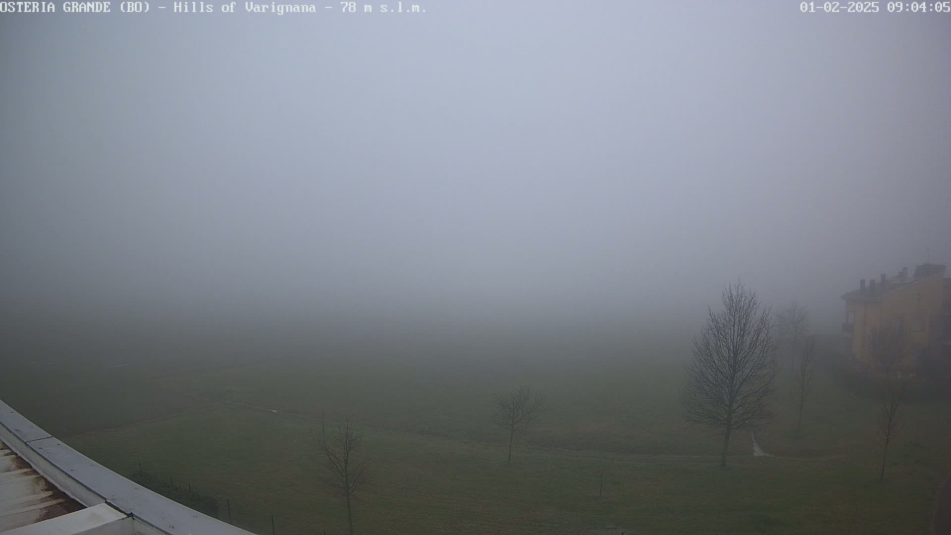 A thick fog obscures a grassy field with a few bare trees and a building in the distance.