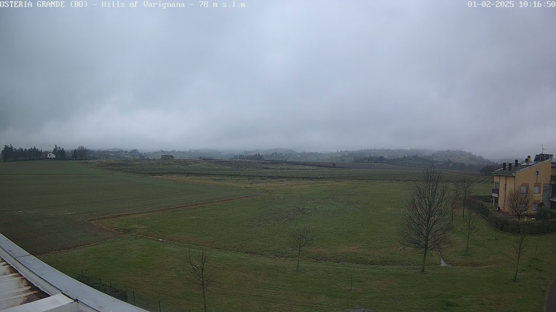 A sprawling field of green, dotted with bare trees and a few buildings, stretches under a hazy, overcast sky.