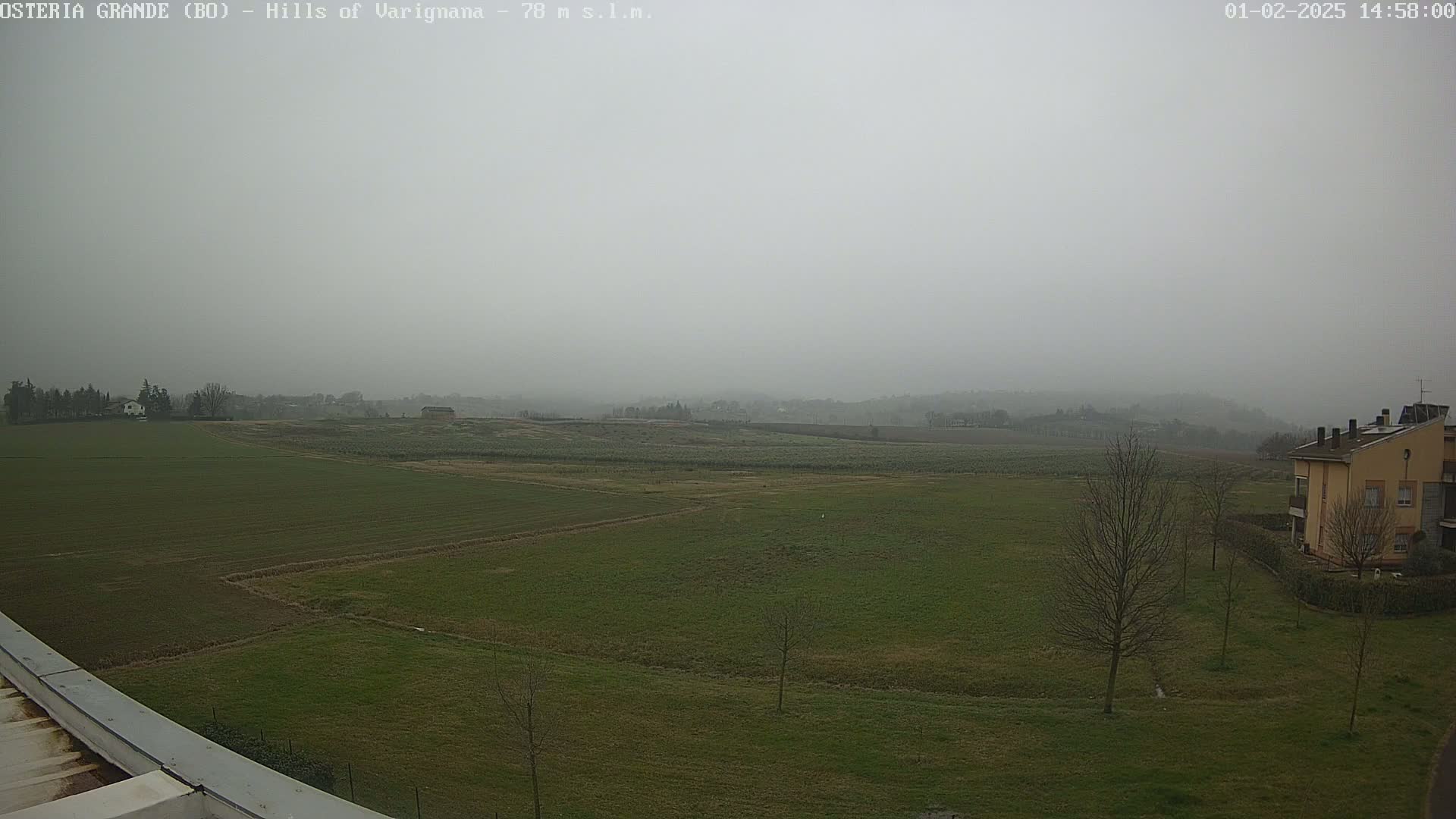 A wide, flat expanse of green farmland stretches to hazy hills under a foggy sky, with a few bare trees and a building visible in the foreground.